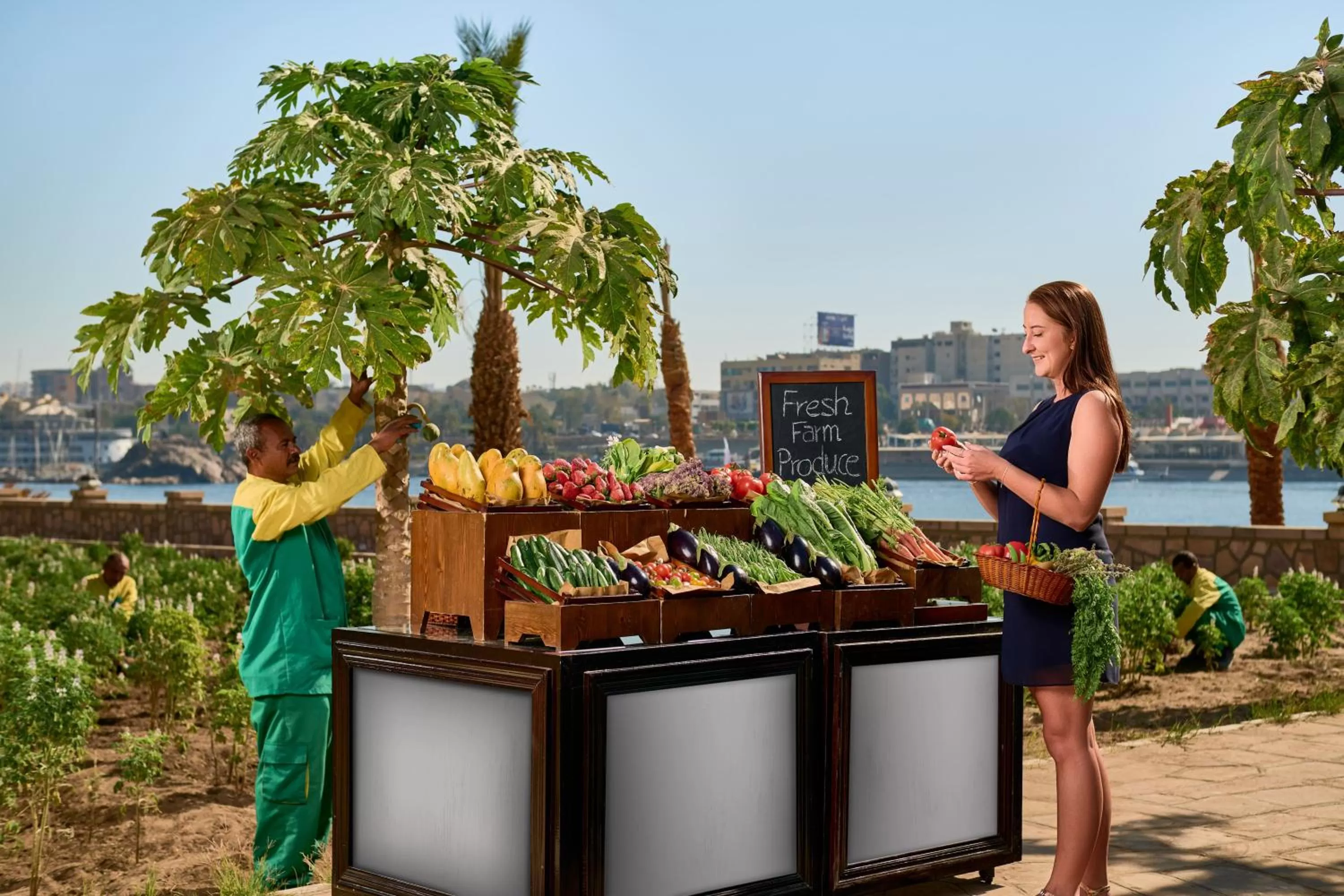 Dining area in Mövenpick Resort Aswan