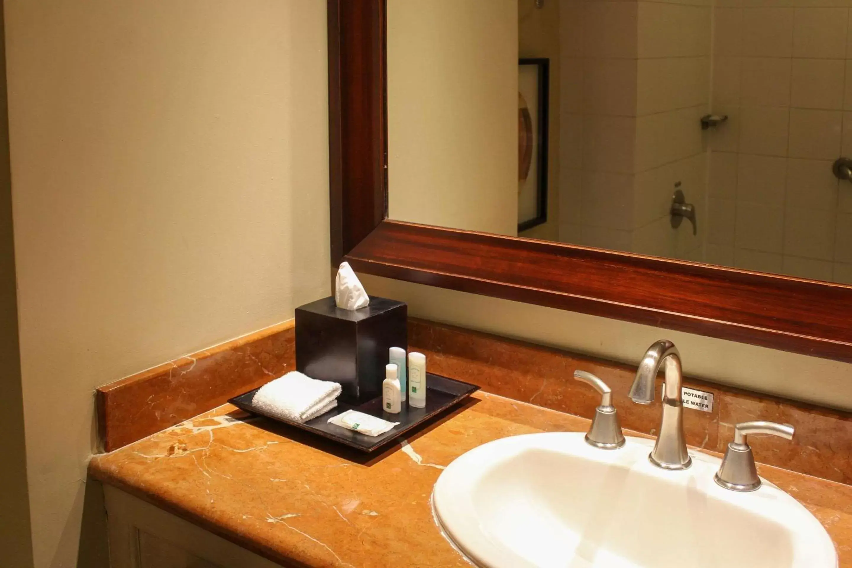 Bathroom in Quality Hotel Real San Jose