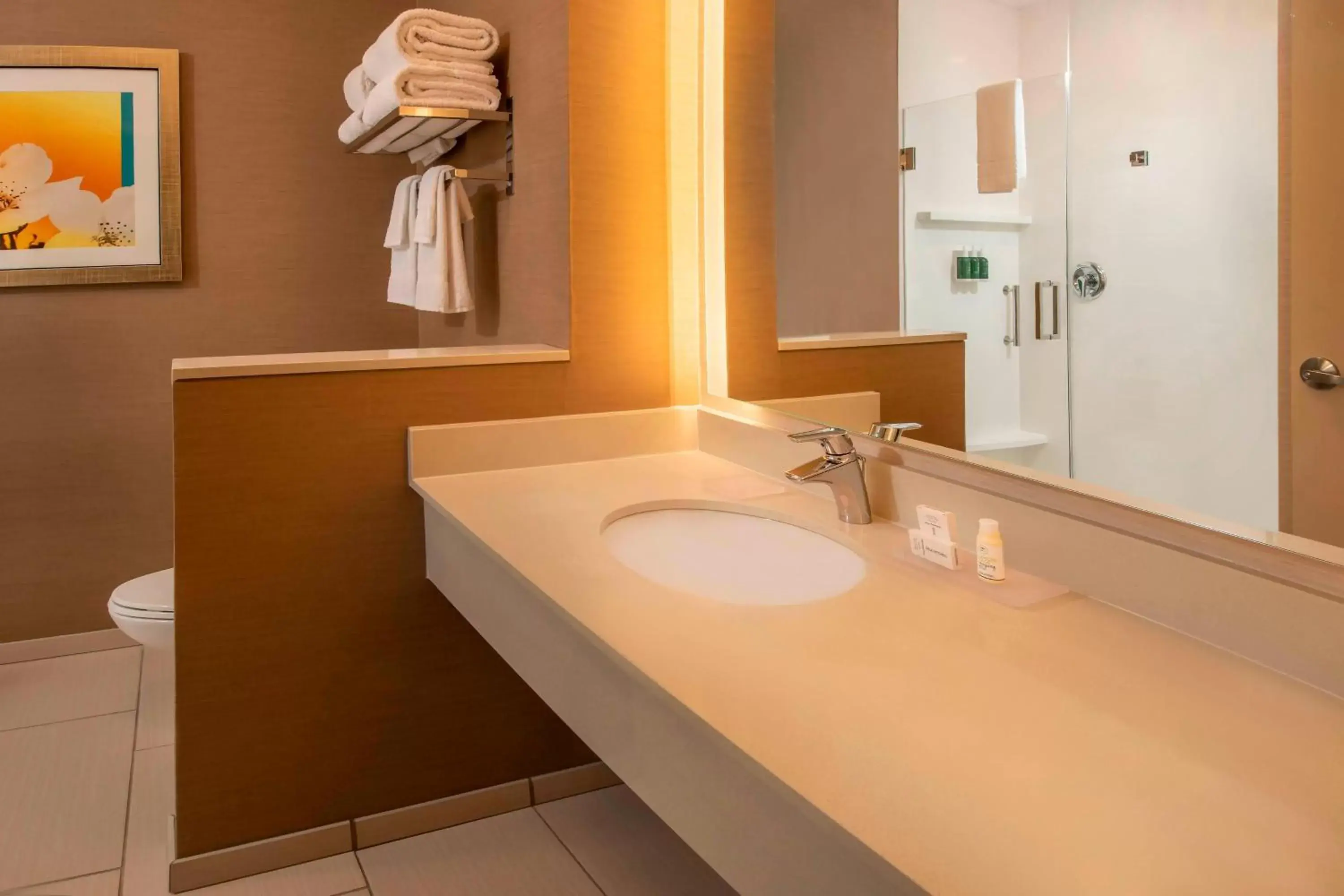 Bathroom in Fairfield Inn & Suites by Marriott Harrisburg International Airport