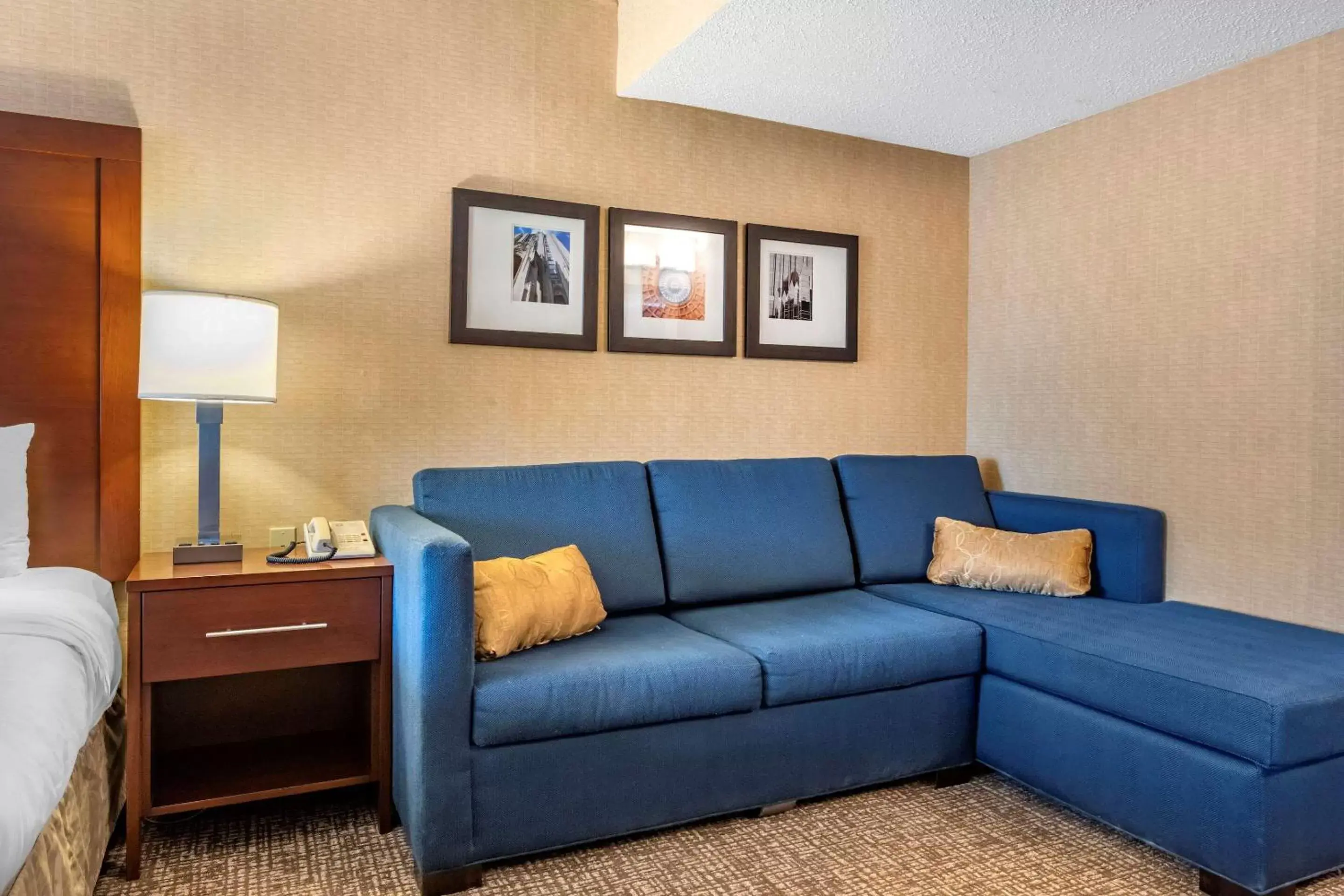 Photo of the whole room, Seating Area in Comfort Inn Meadowlands