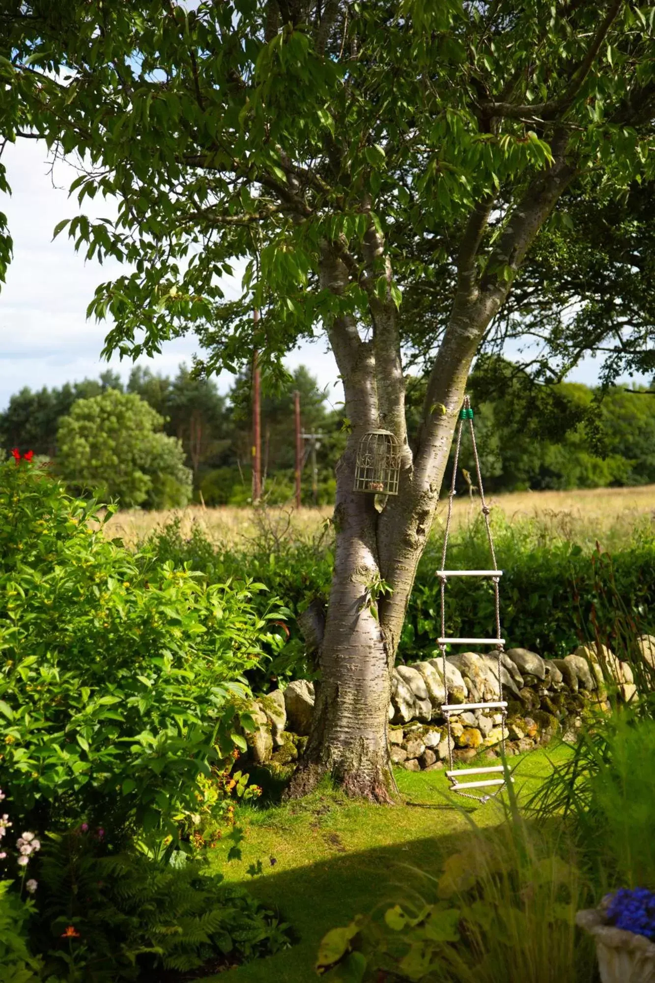 Garden in Balmungo Cottage B&B