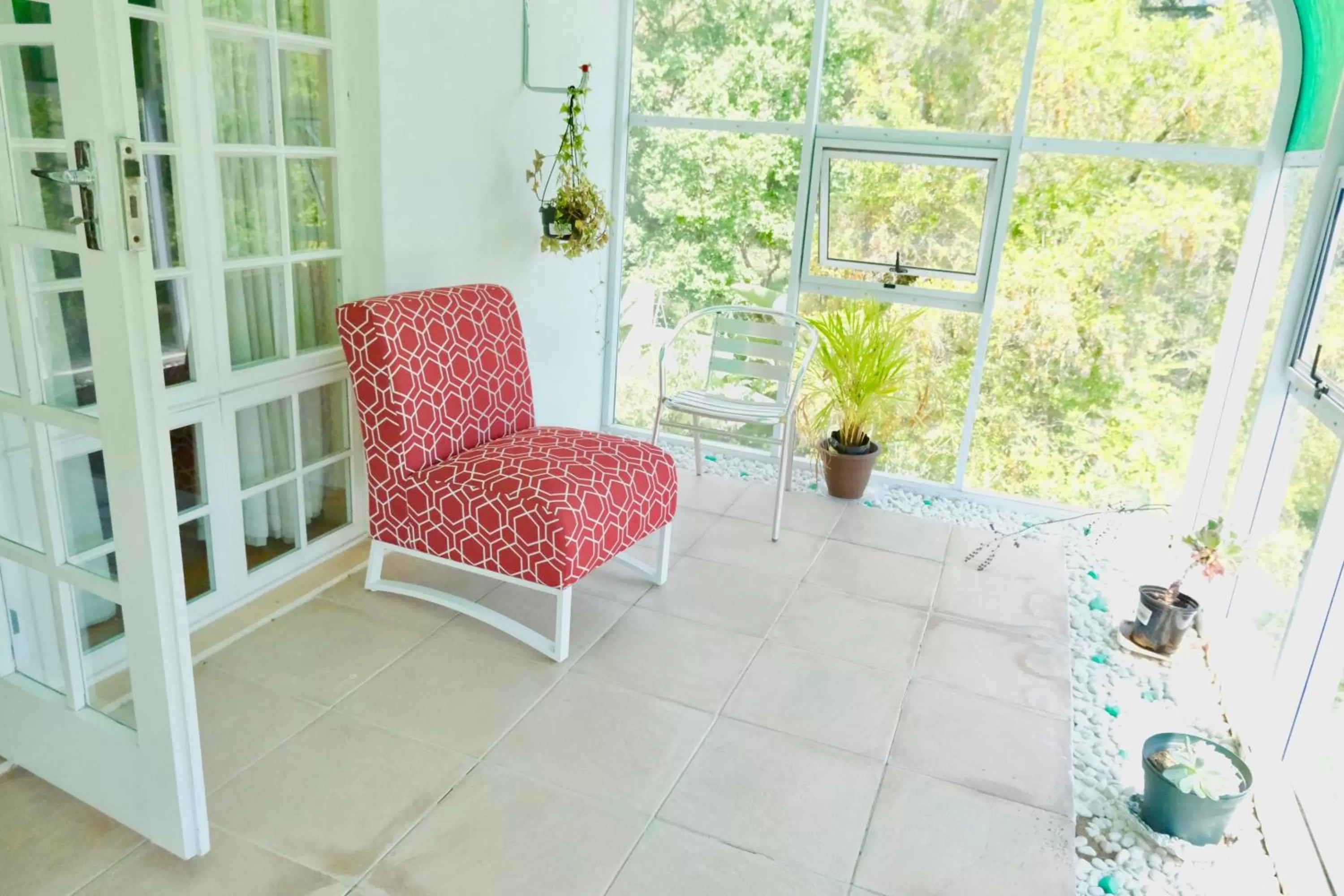 Garden view in The Whitehouse Bed and Breakfast