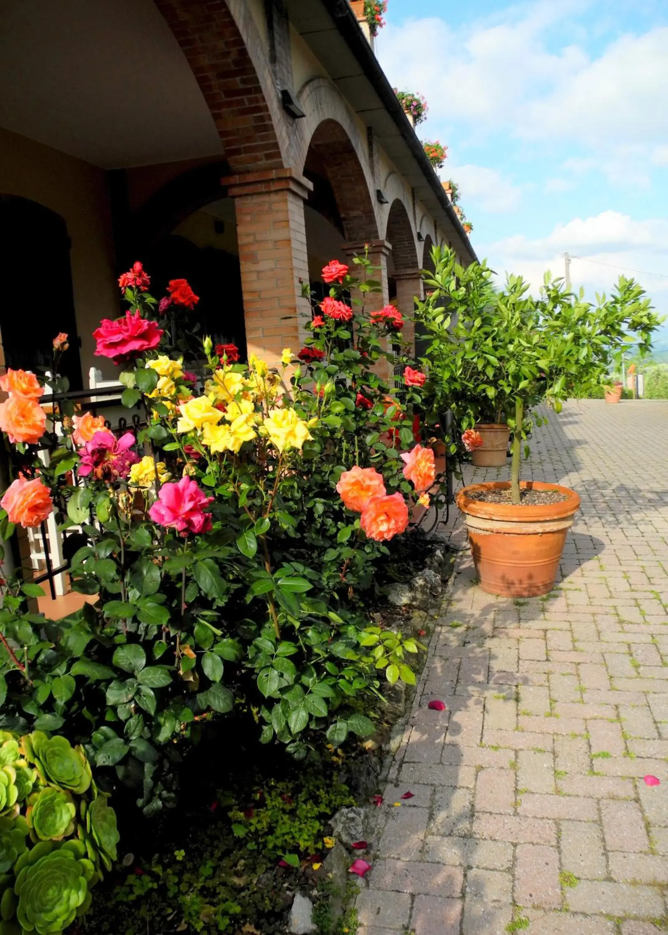 Garden, Property Building in Hotel Le Renaie