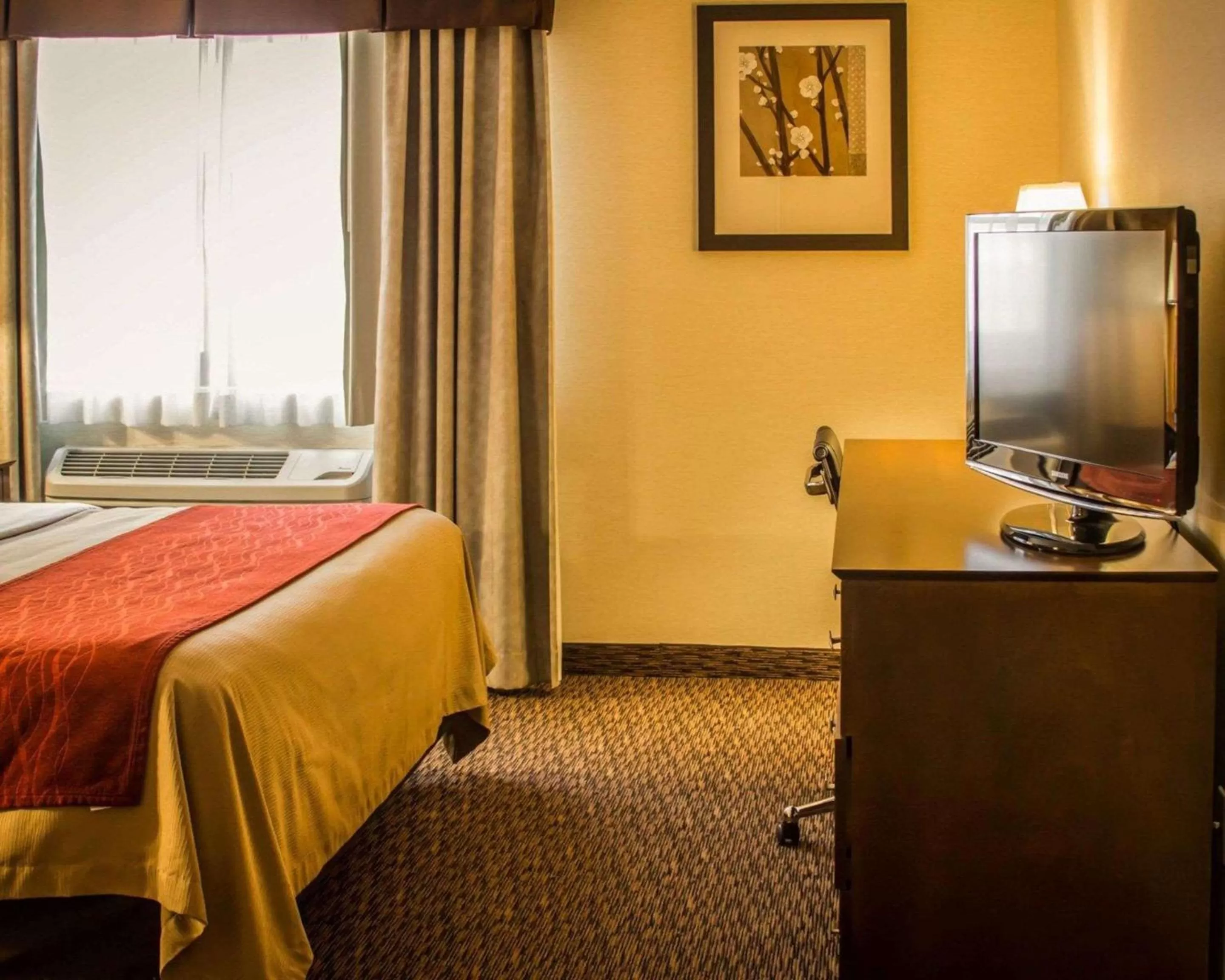 Photo of the whole room, Bed in Quality Inn & Suites Port Huron