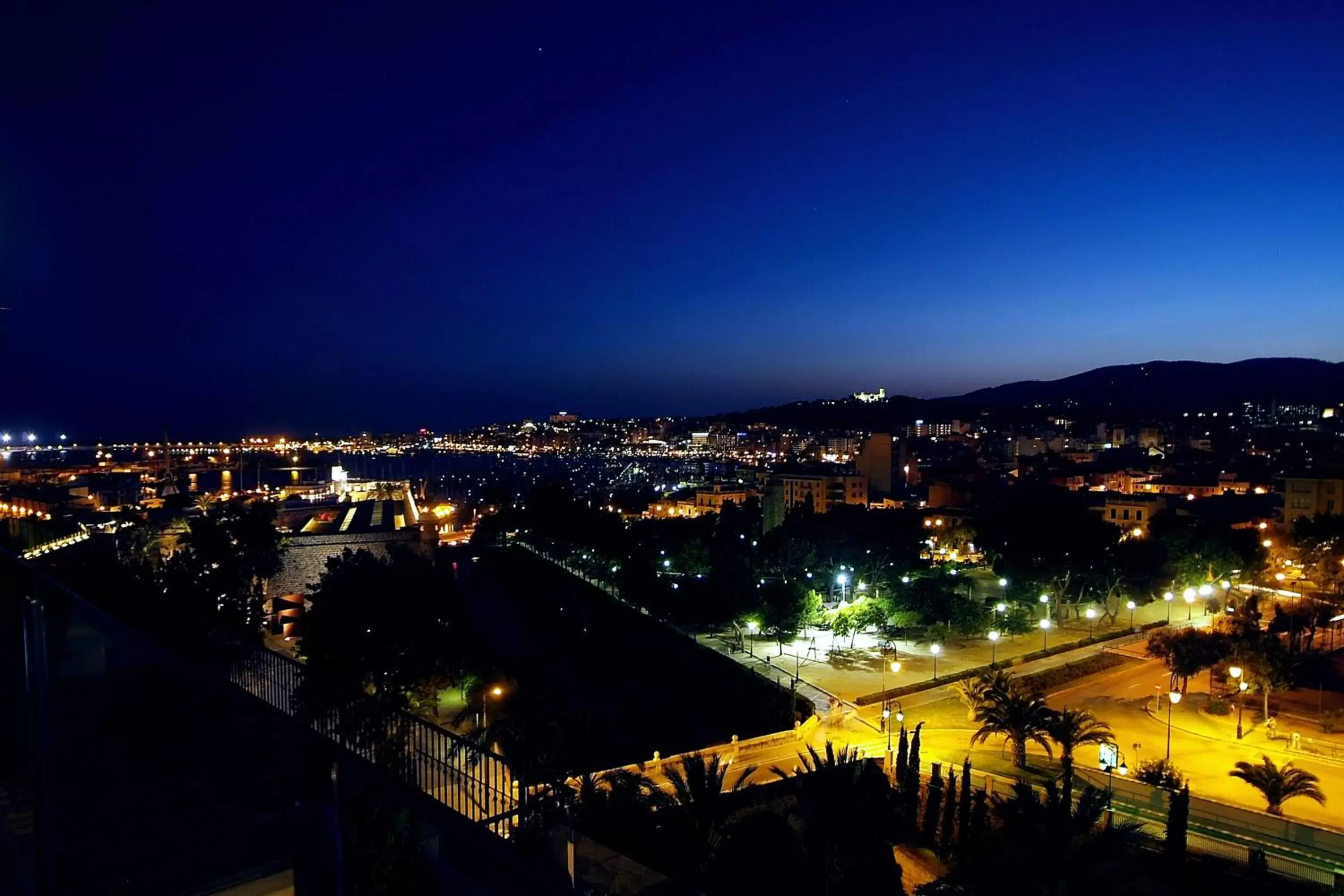 Restaurant/places to eat, Bird's-eye View in Hotel Saratoga