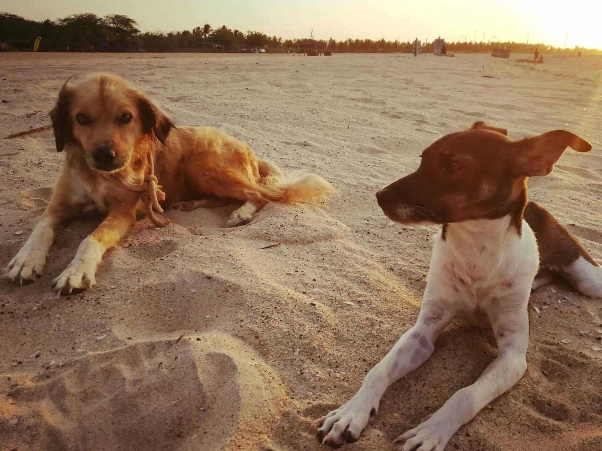 Pousada Casa de João Kitehouse