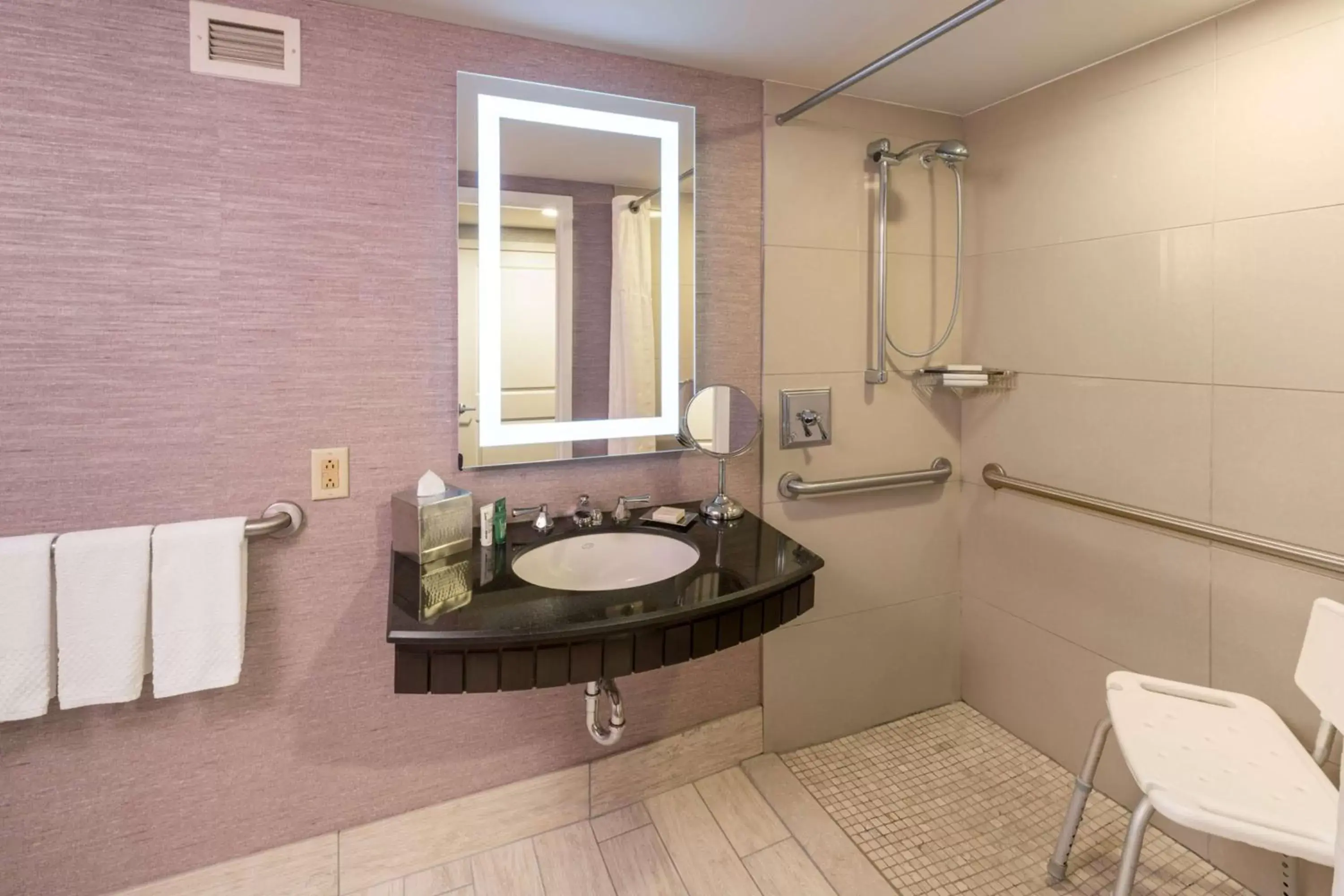 Bathroom in The Saratoga Hilton
