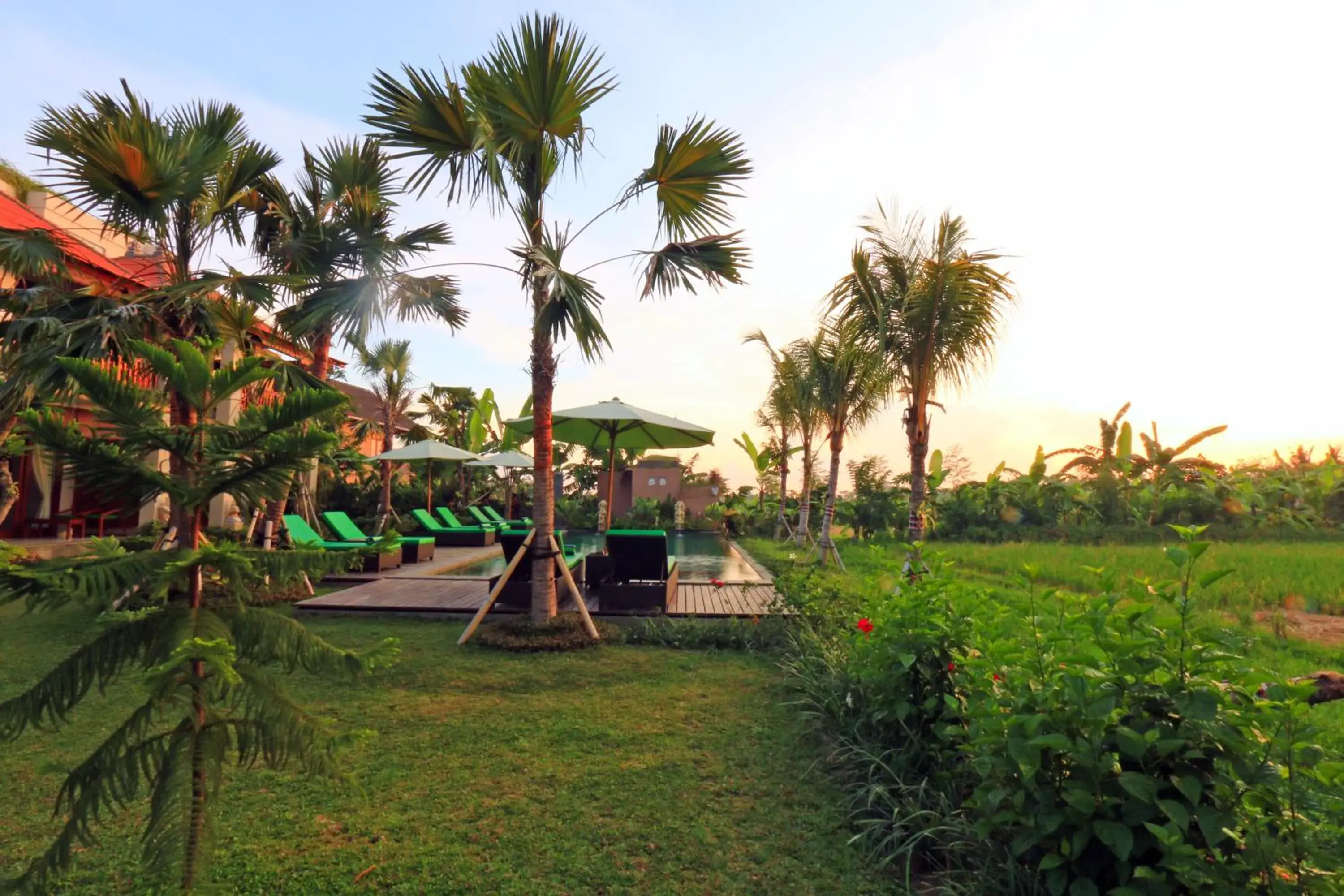 Natural landscape, Property Building in Ubud Tropical Garden