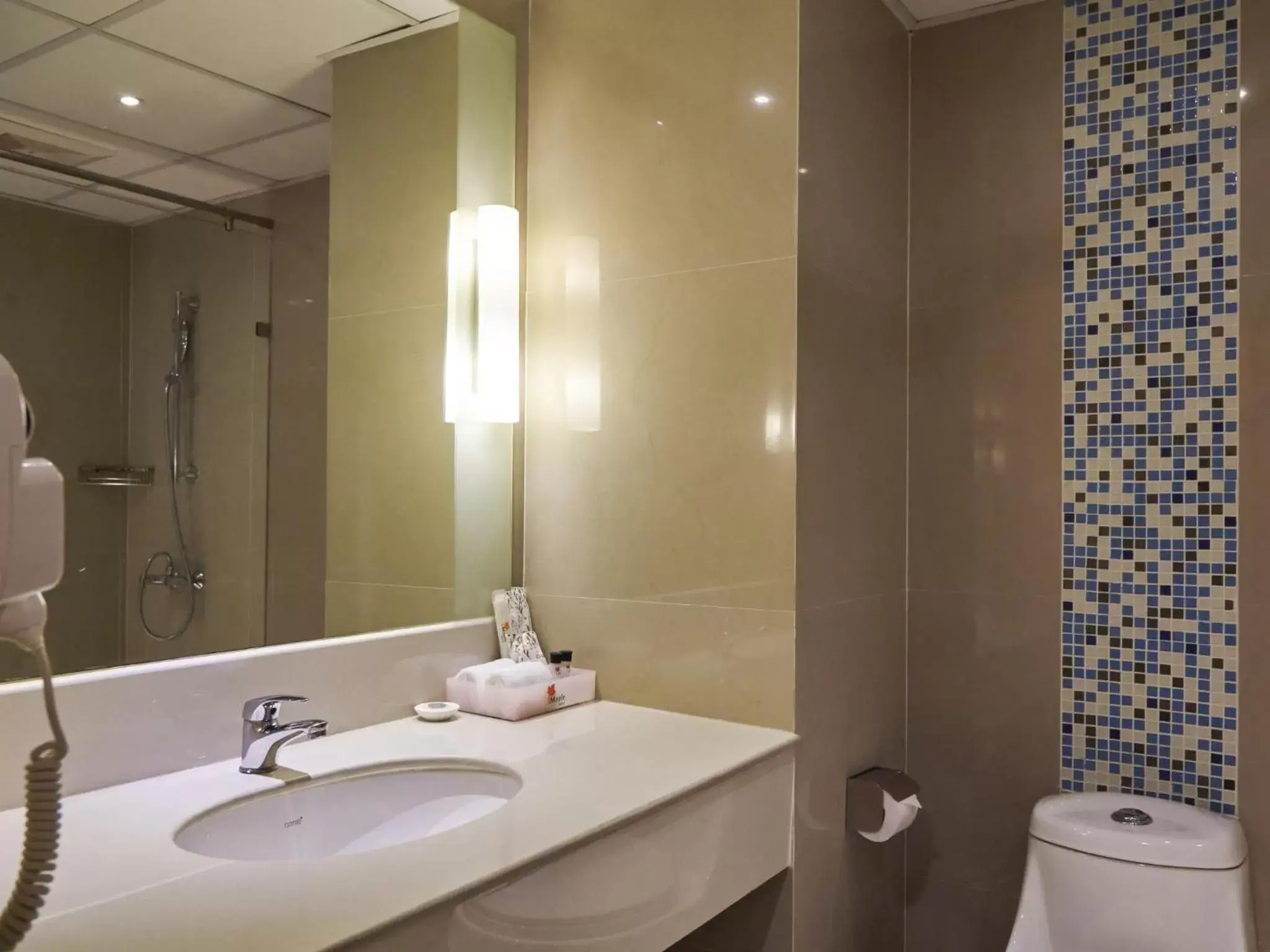 Bathroom in Maple Hotel