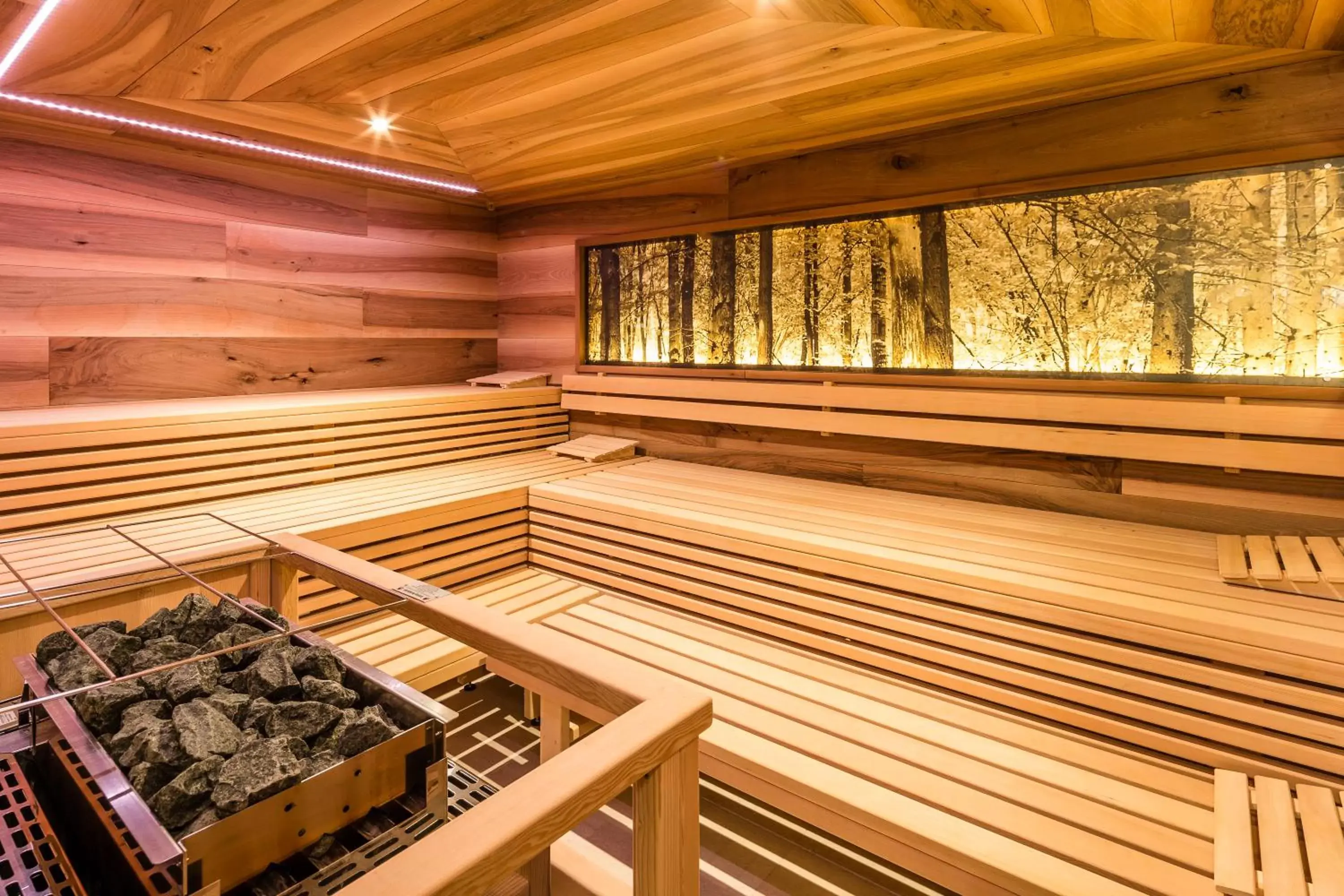 Sauna in Hotel Am Sonneck