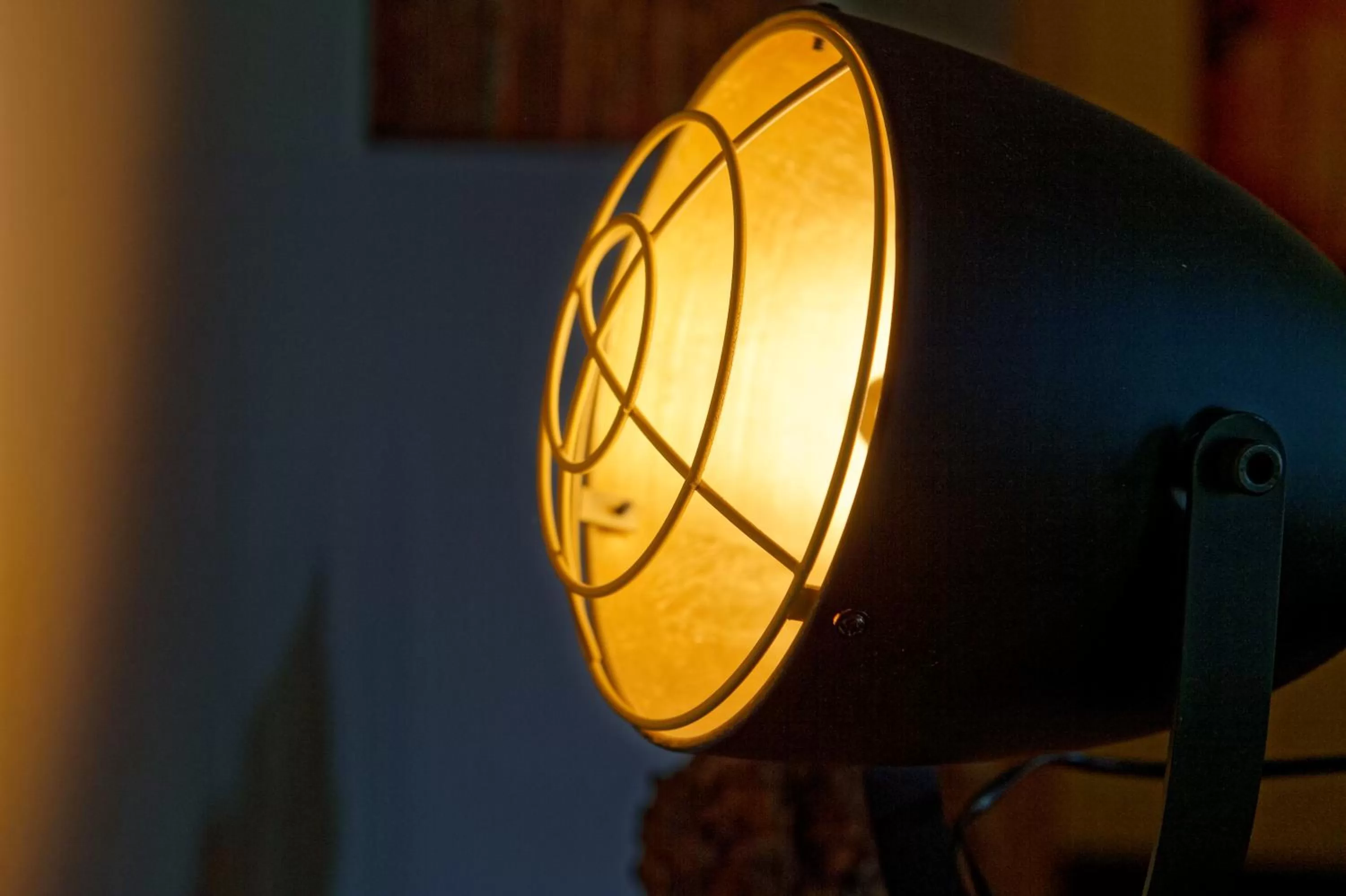 Decorative detail in Salischer Hof