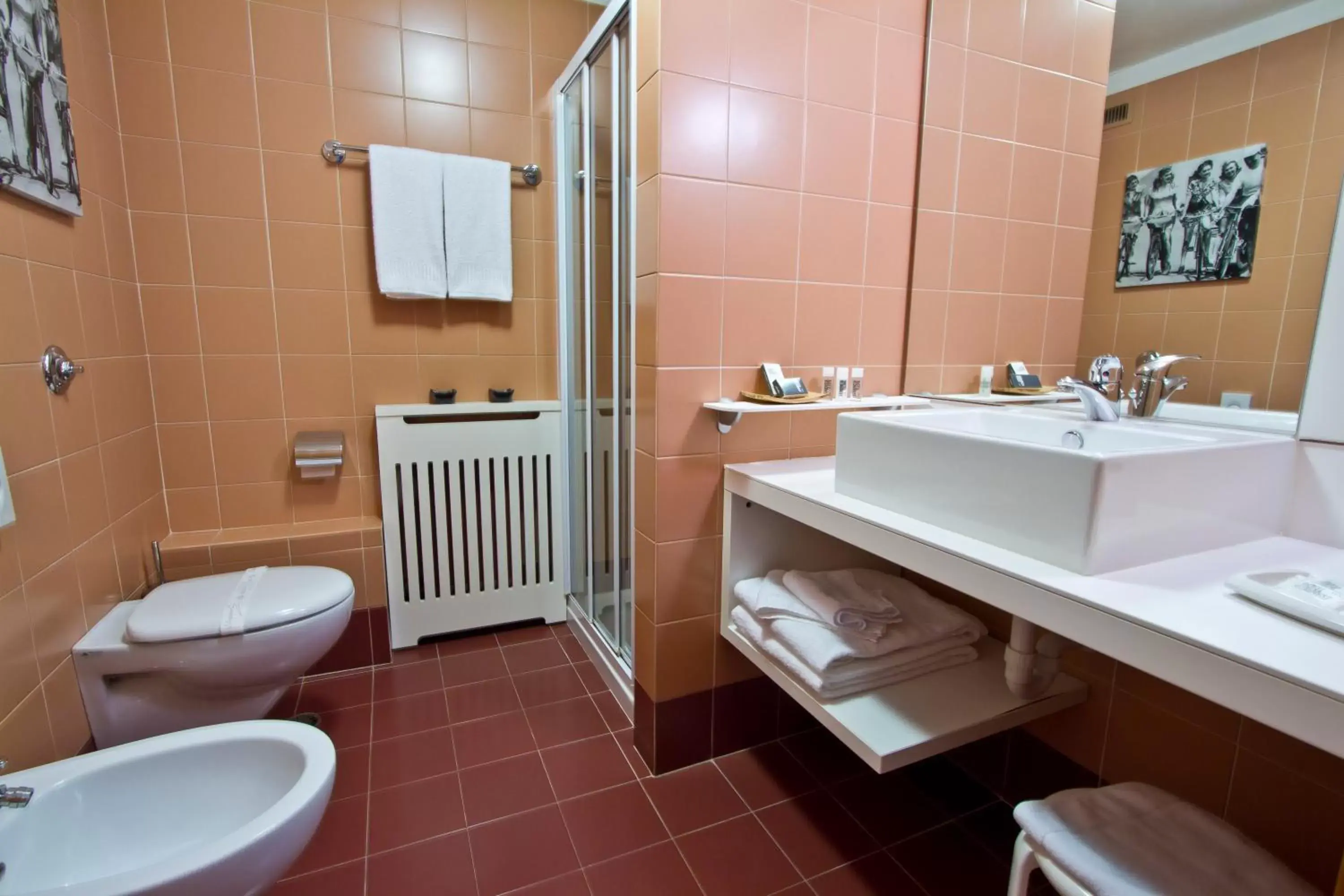 Shower, Bathroom in Hotel Eurorest