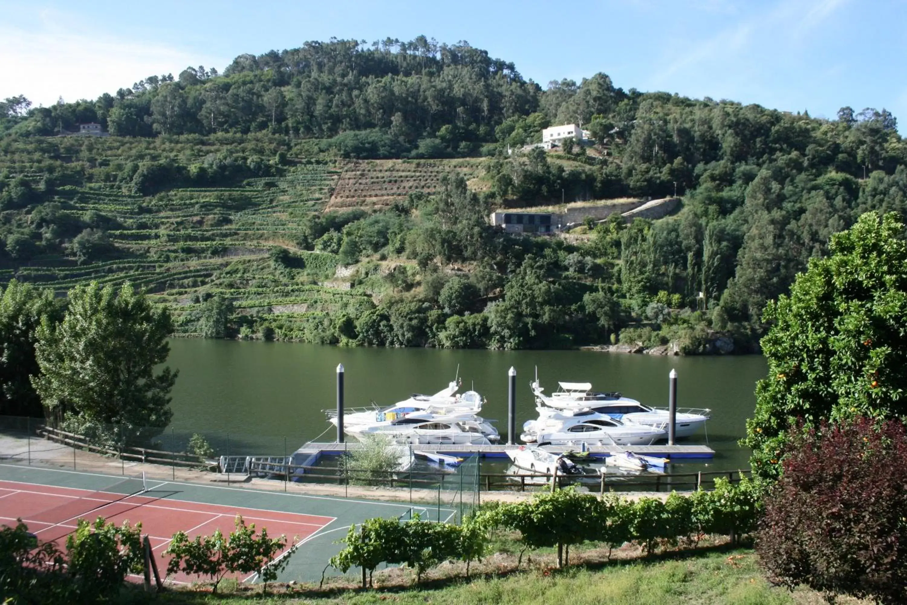 View (from property/room) in Quinta da Ermida - Turismo de Habitacao