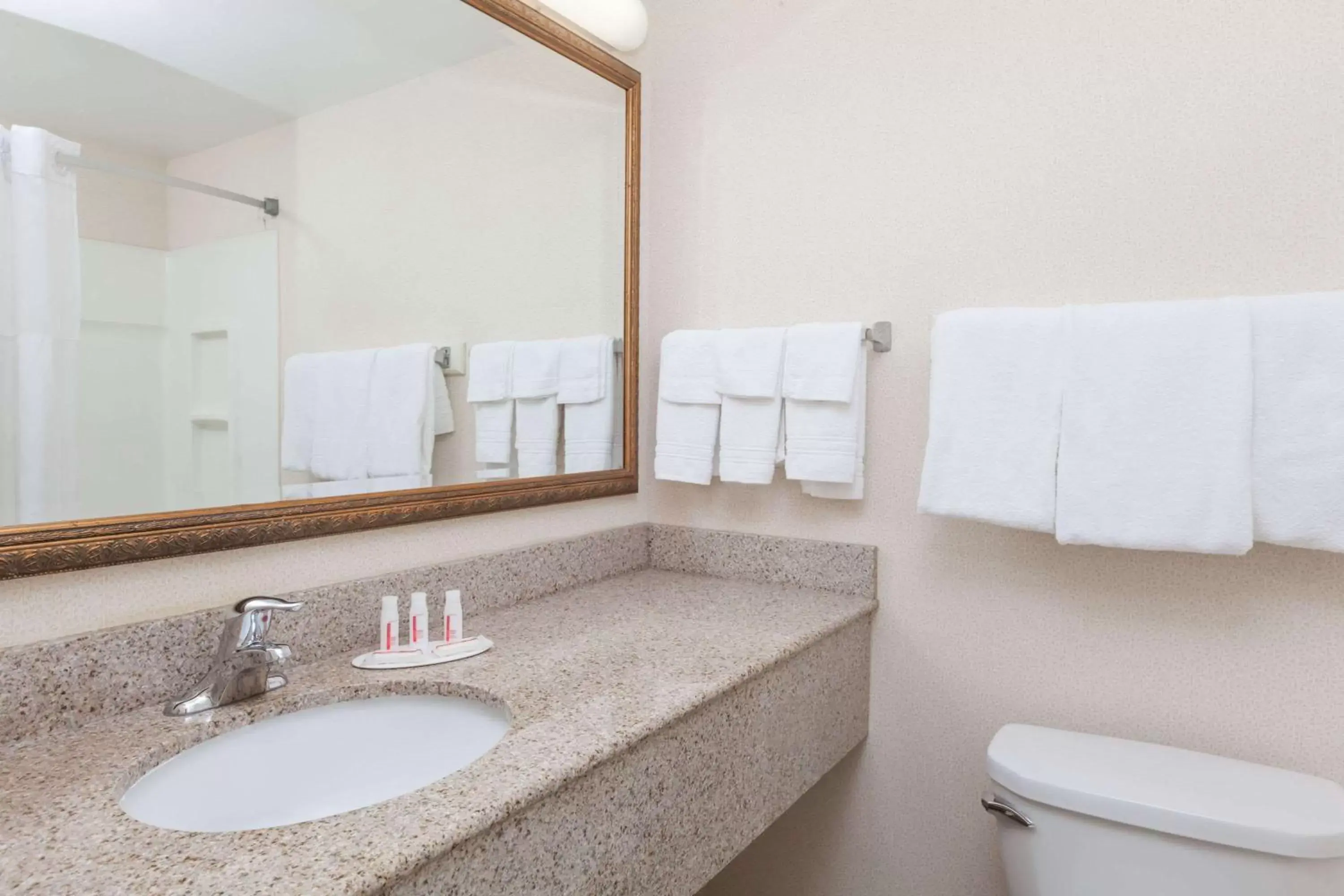 Bathroom in Days Inn by Wyndham Albany SUNY