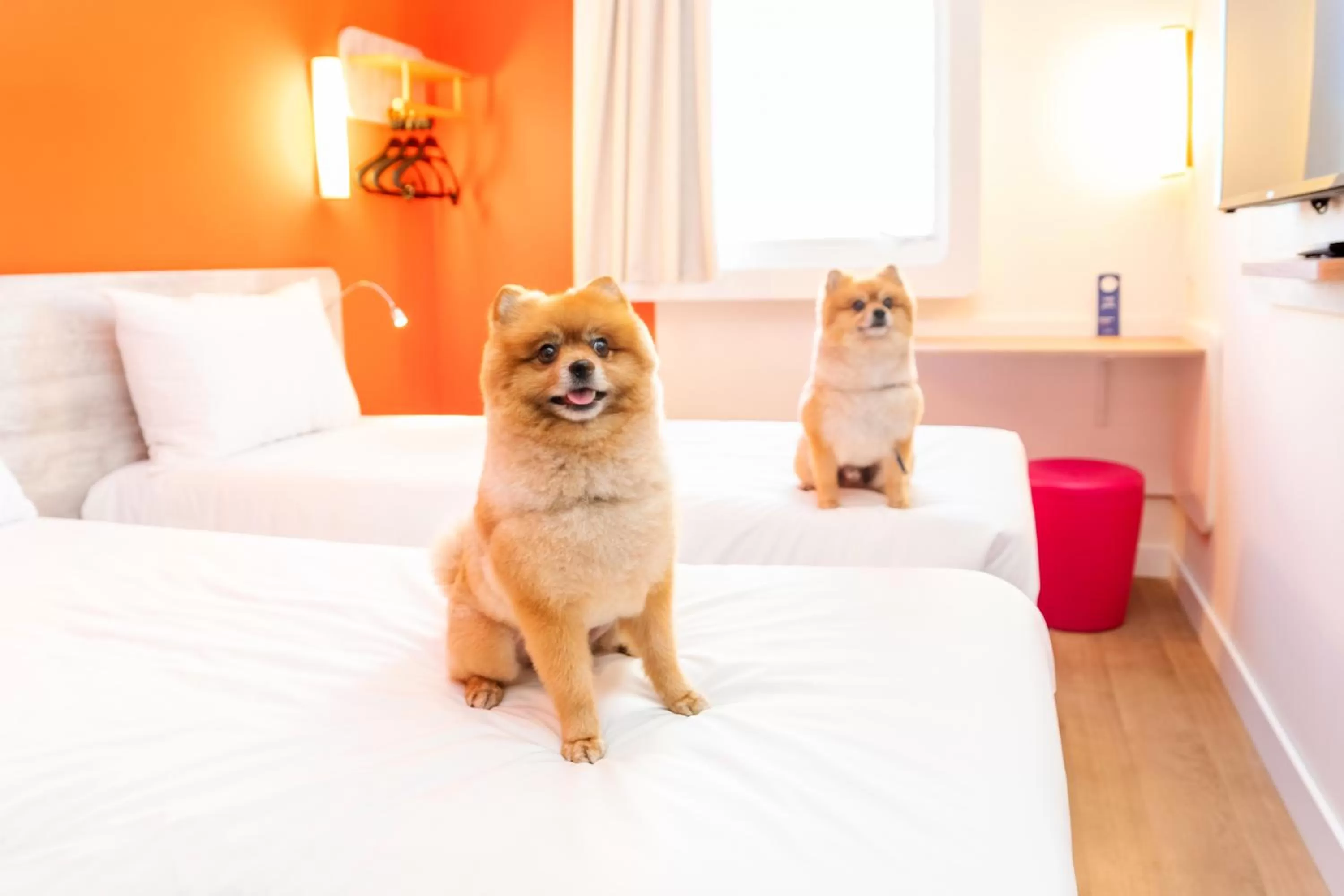 Bed in ibis budget Sao Caetano