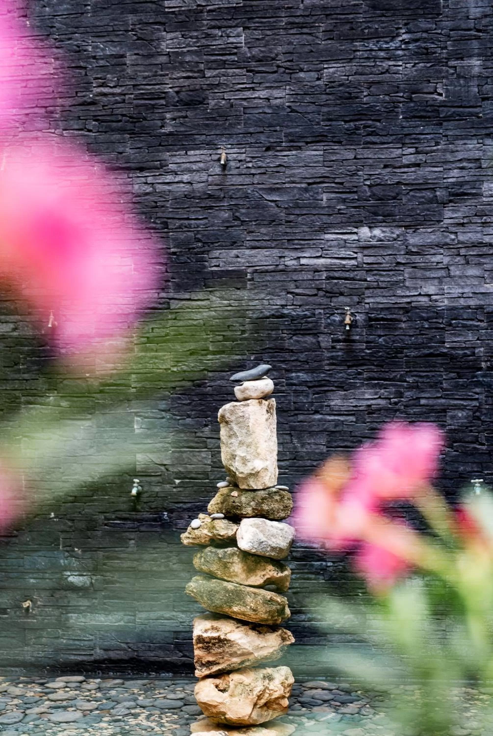 Other in Hotel 52 Playa del Carmen