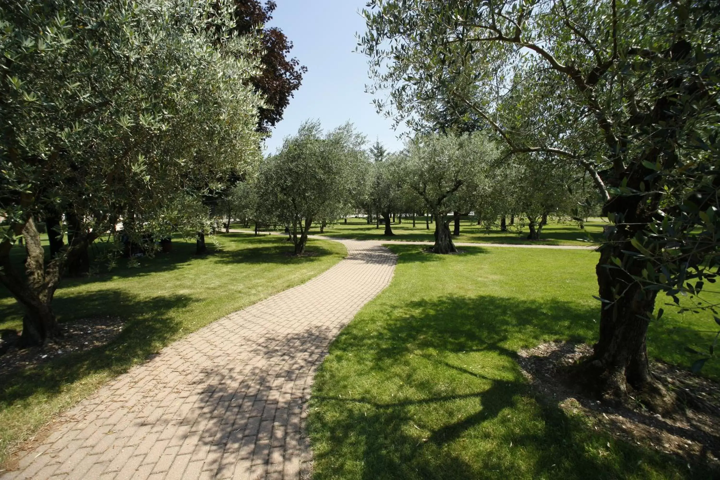 Garden in Villa Quaranta Tommasi Wine Hotel & SPA