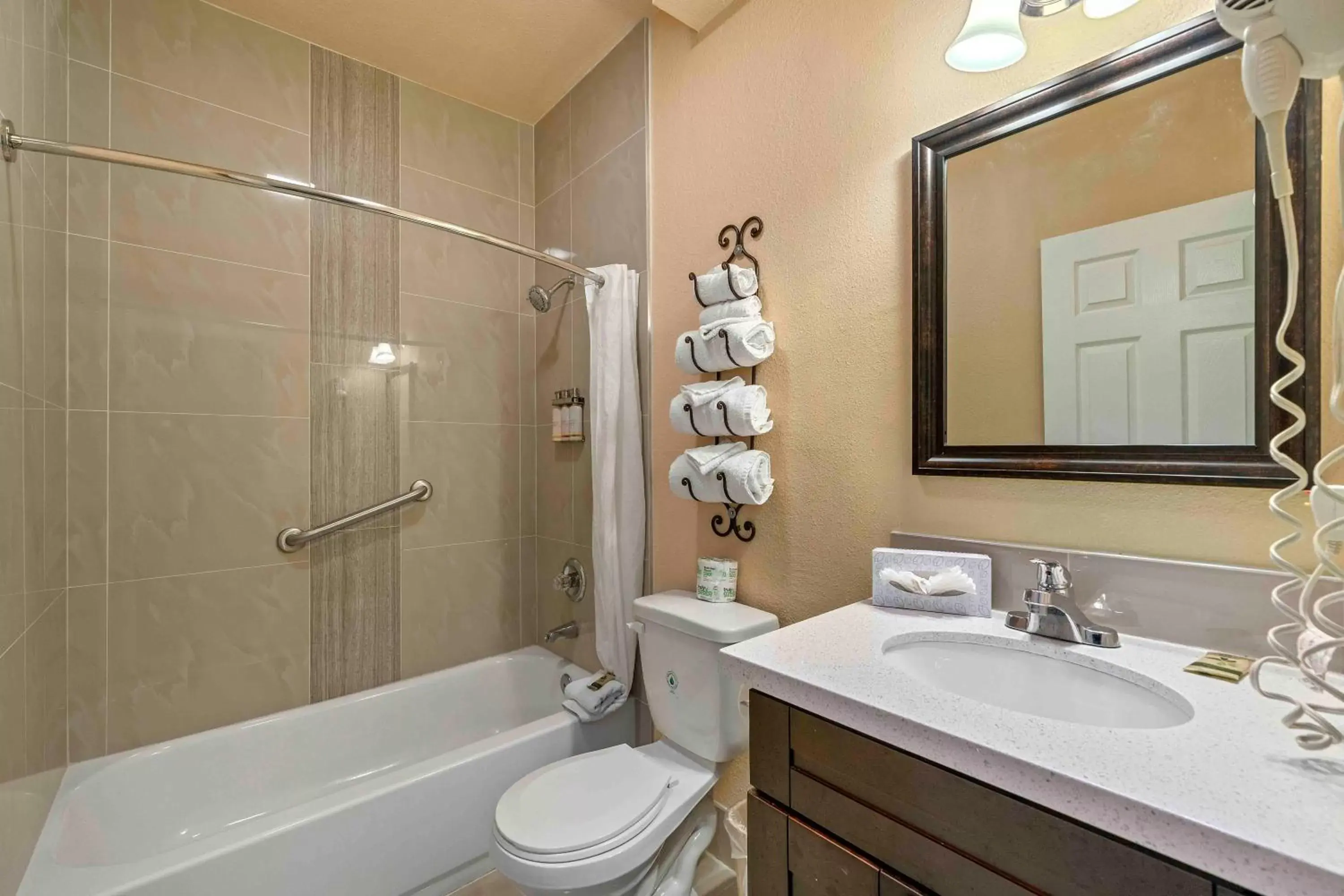 Shower, Bathroom in The Lemon Tree Hotel