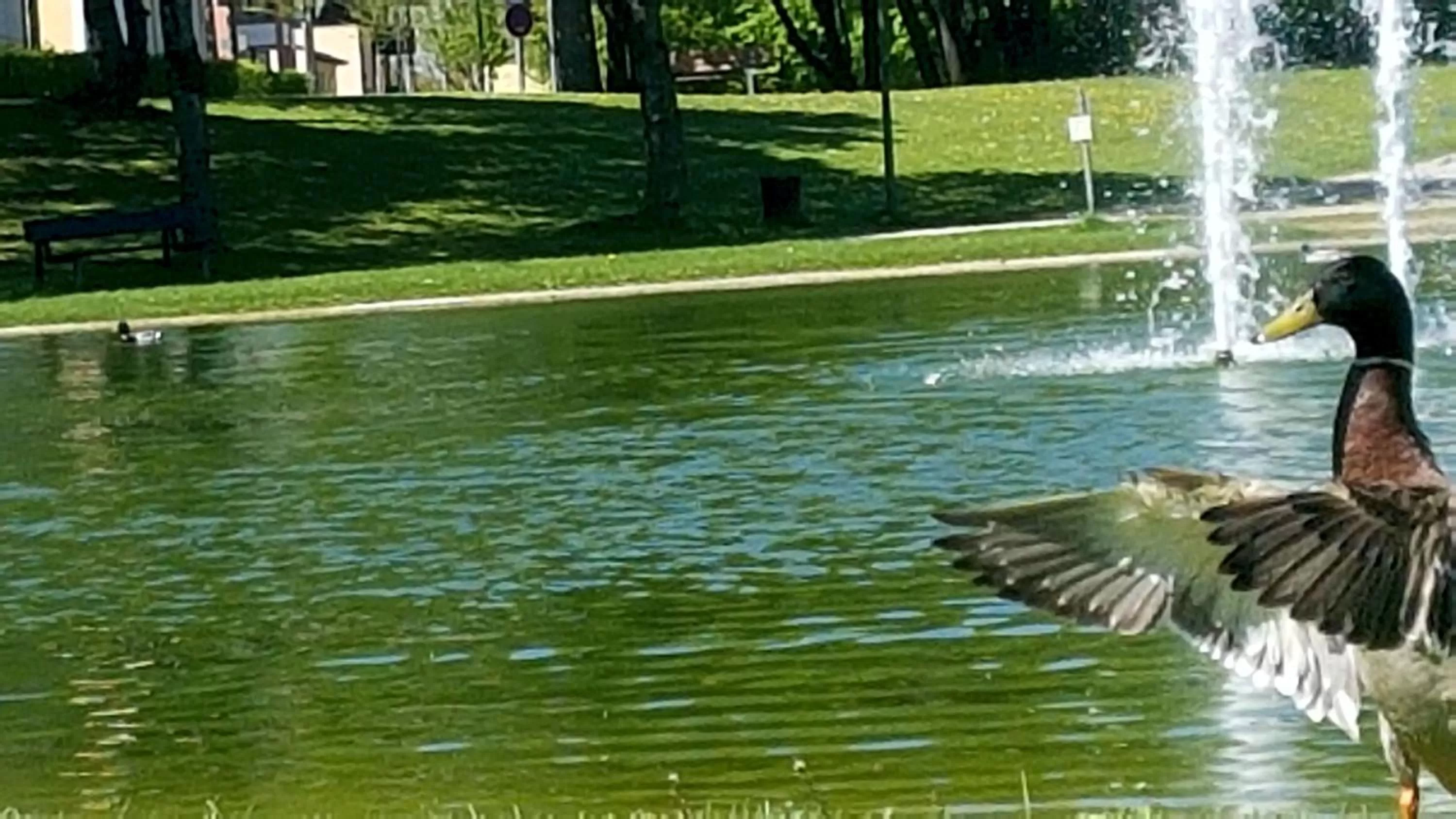 Nearby landmark in Kurhotel Anders