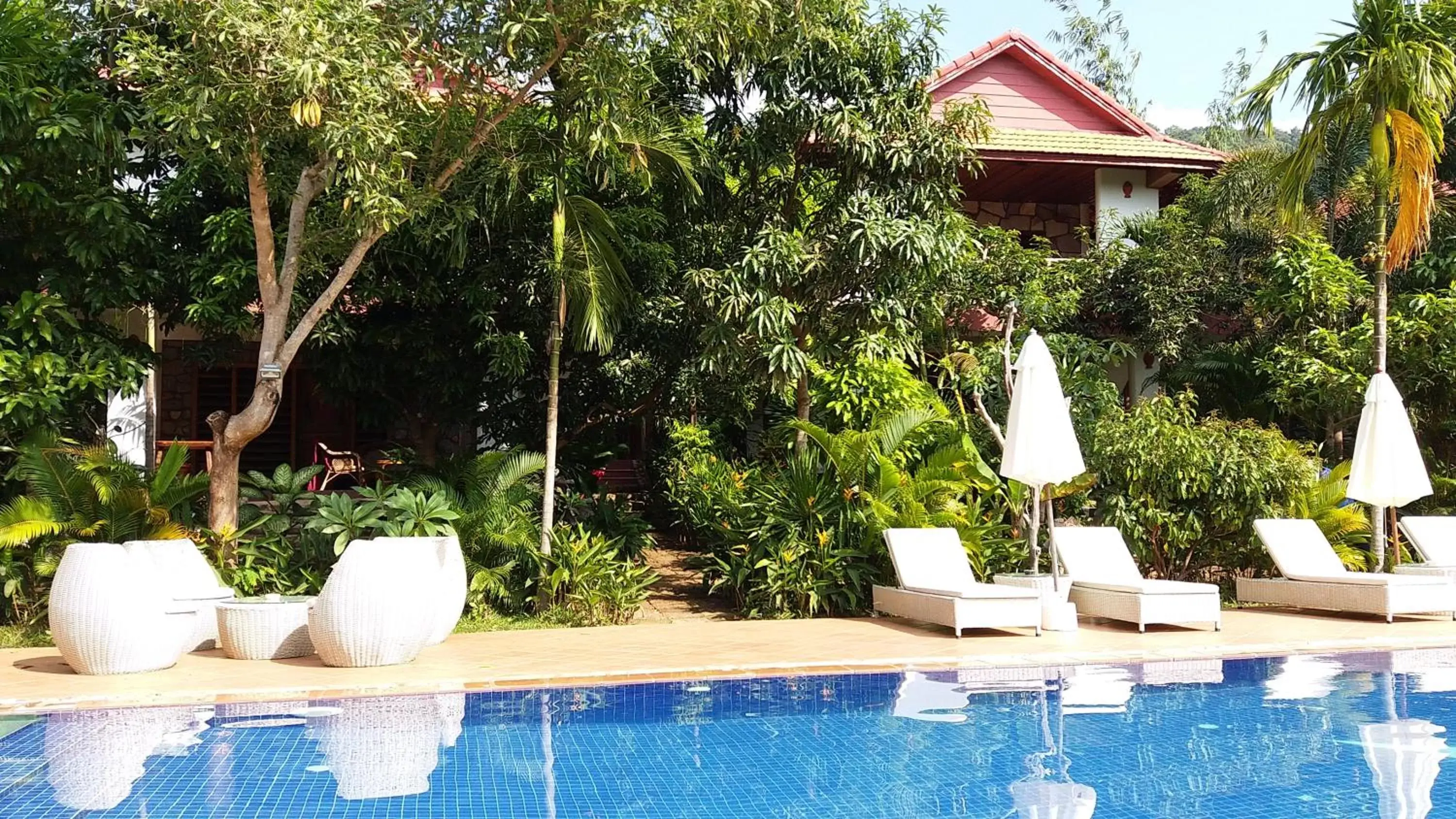 Swimming Pool in TARA LODGE Haven of peace