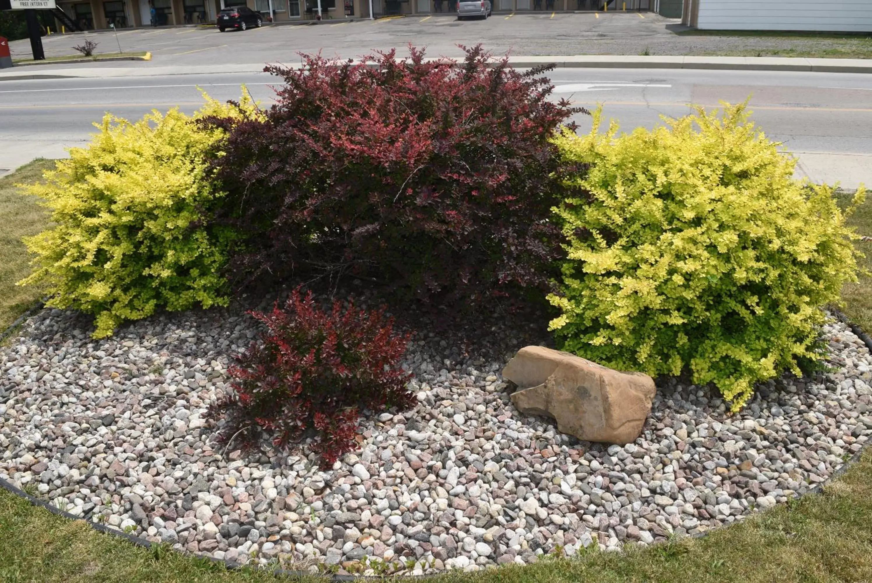 Knights Inn Arnprior Knights Inn Arnprior