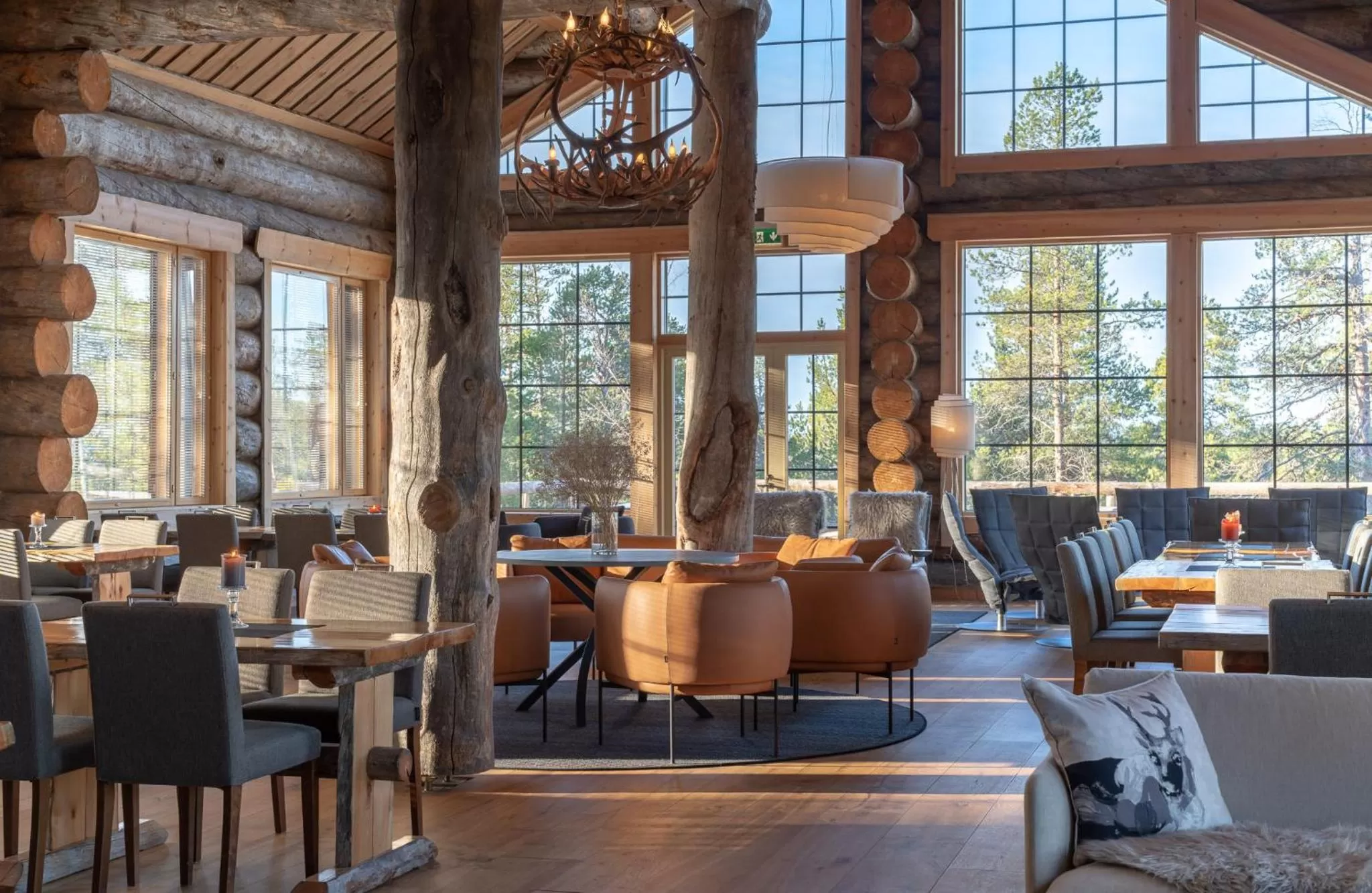 Restaurant/places to eat in Wilderness Hotel Nangu & Igloos