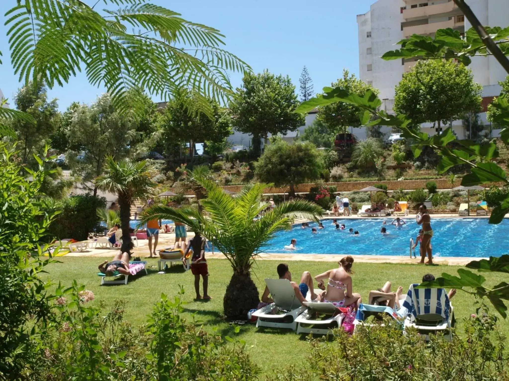 Garden, Swimming Pool in Apartamentos Jardins da Rocha