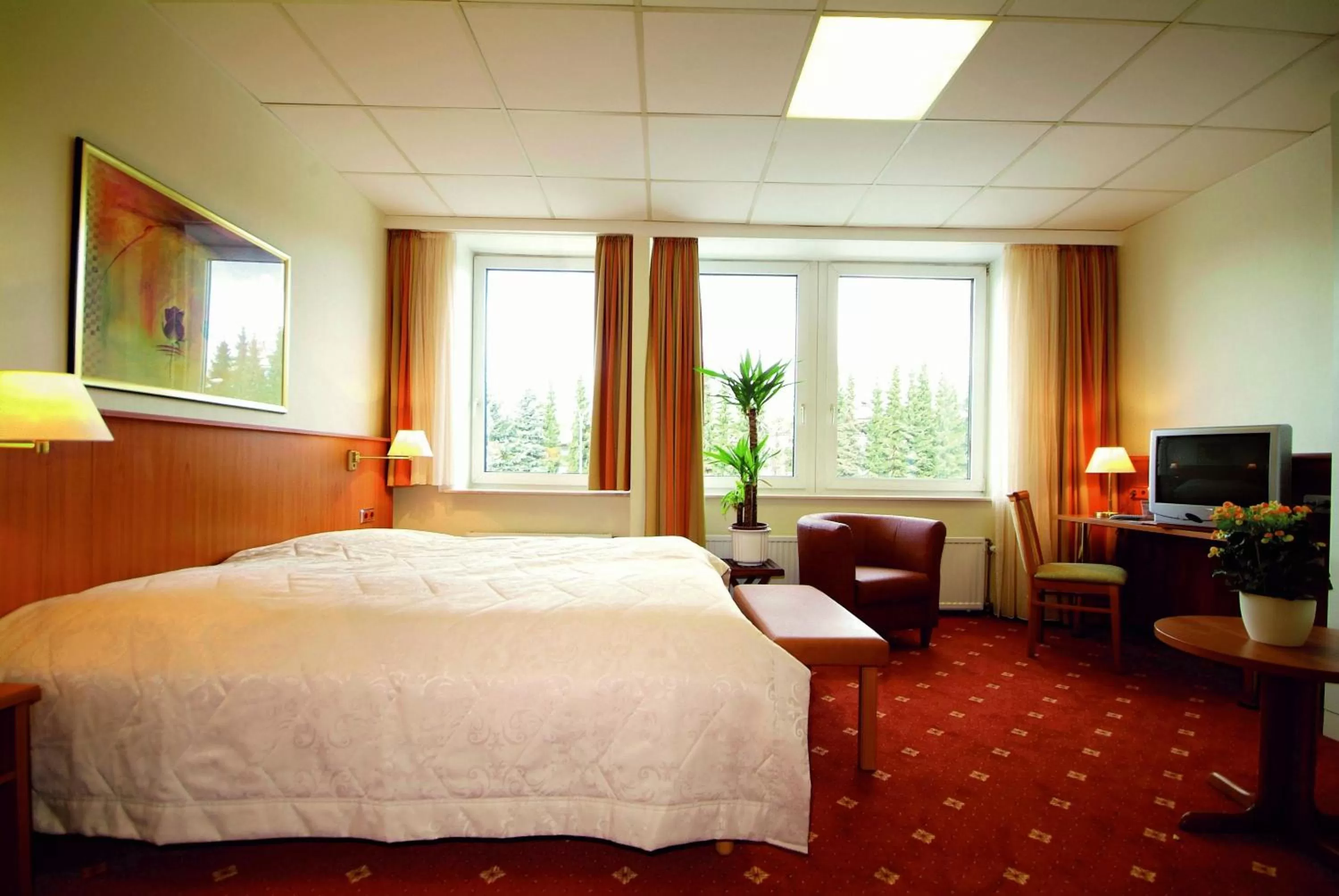 Photo of the whole room, Bed in Traveller Hotel