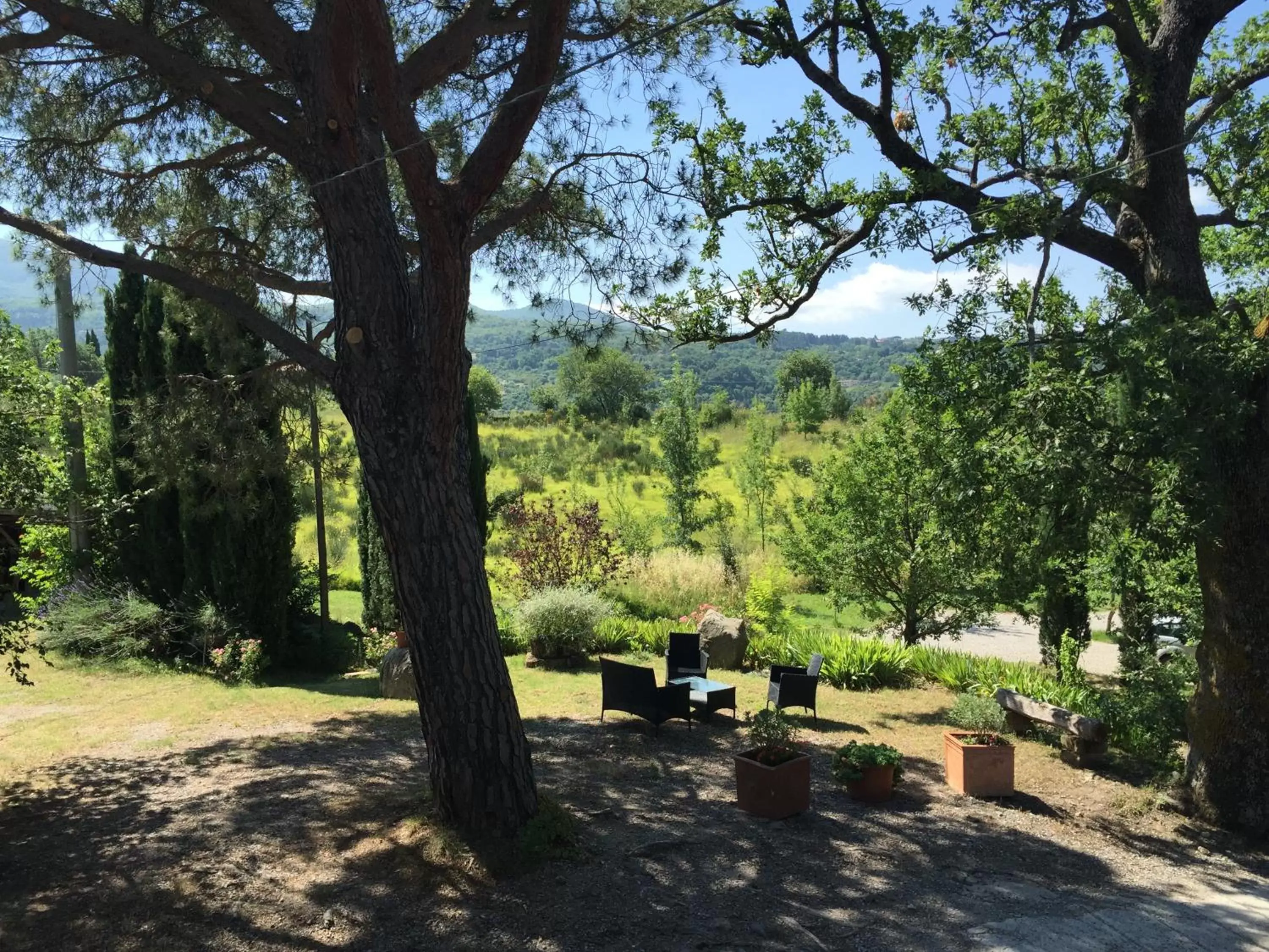 Garden, Patio/Outdoor Area in Podere Pinzicalari