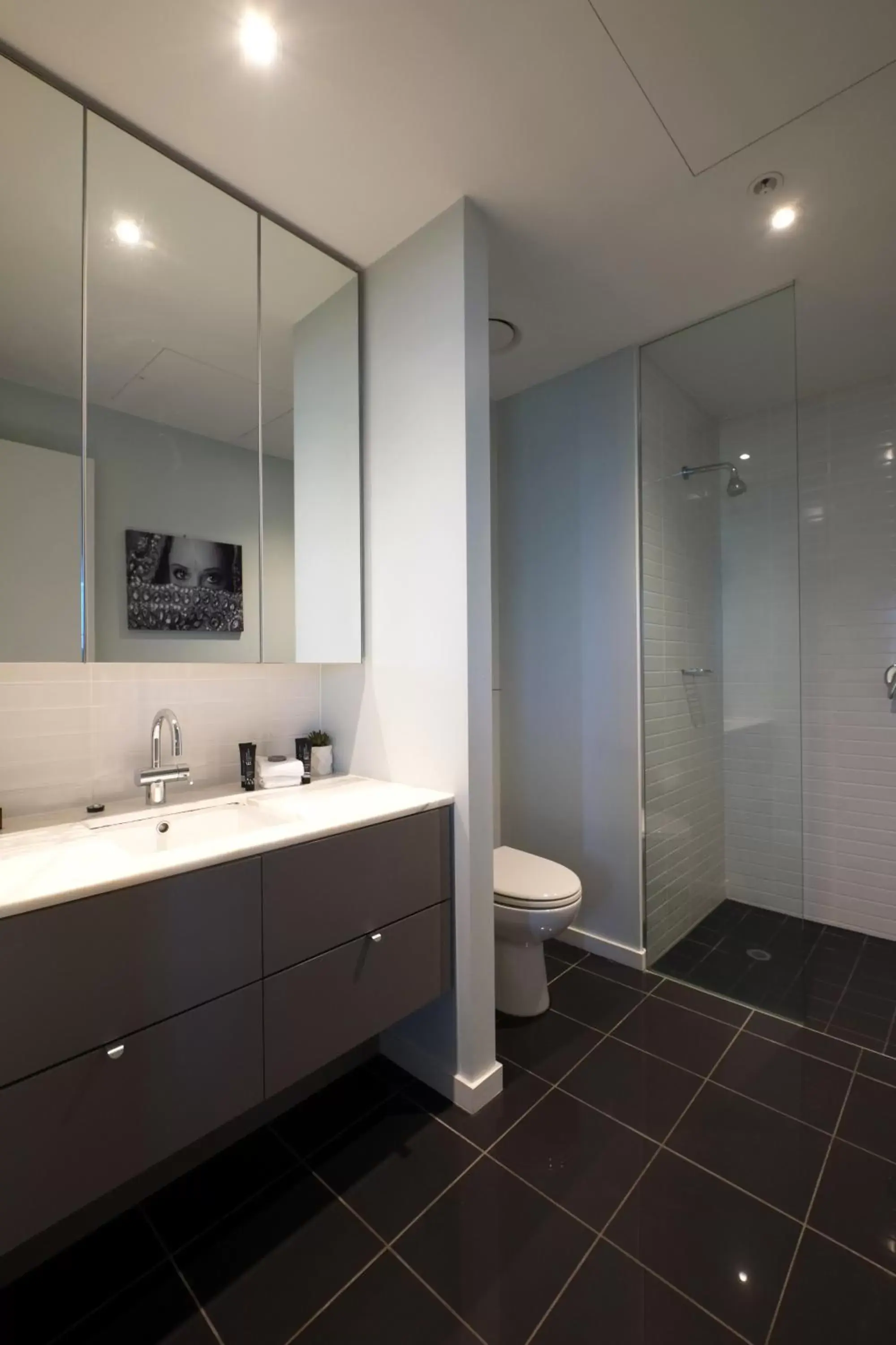 Shower, Bathroom in ACD Apartments