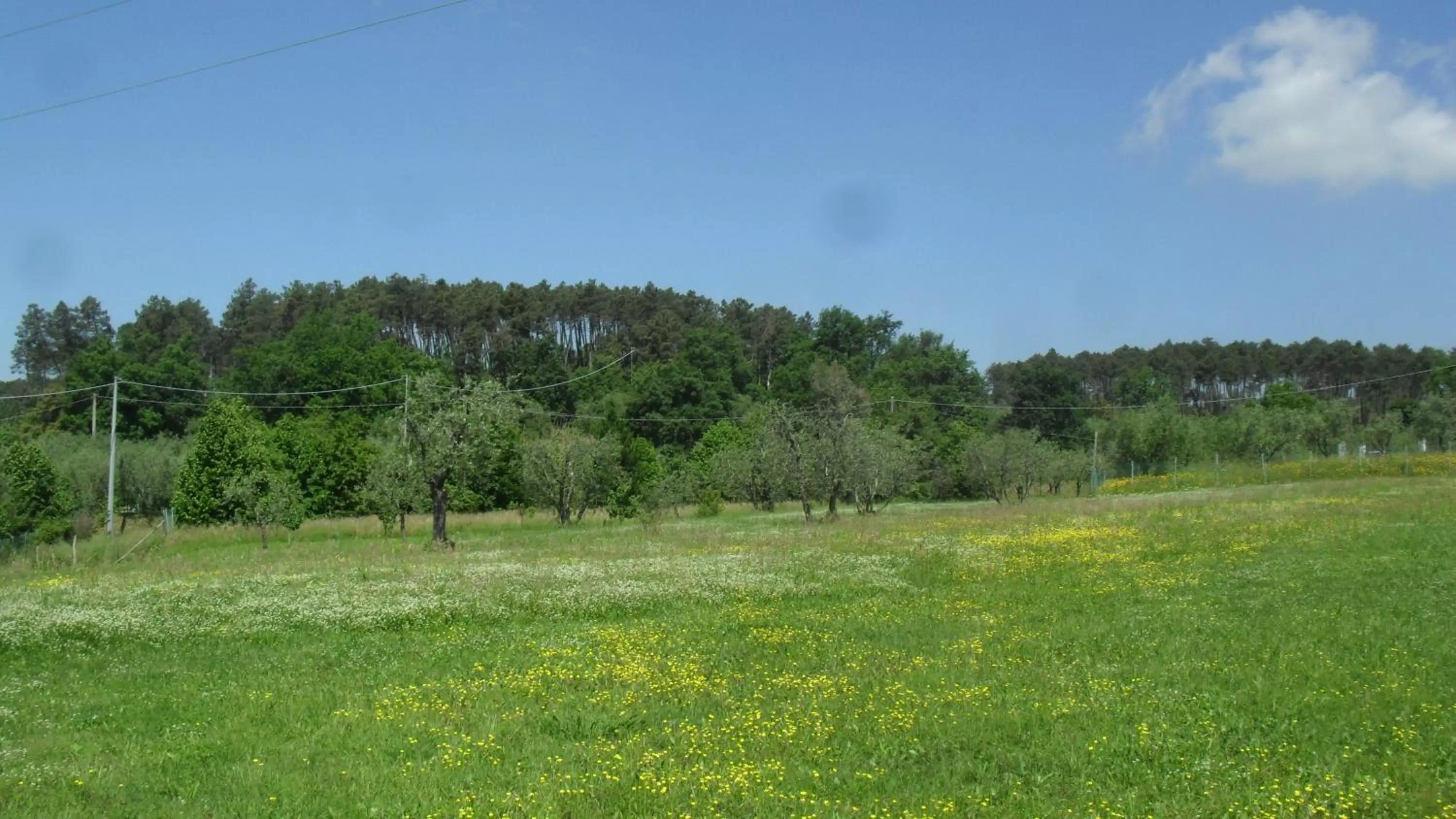 Area and facilities in Casa Fontanino