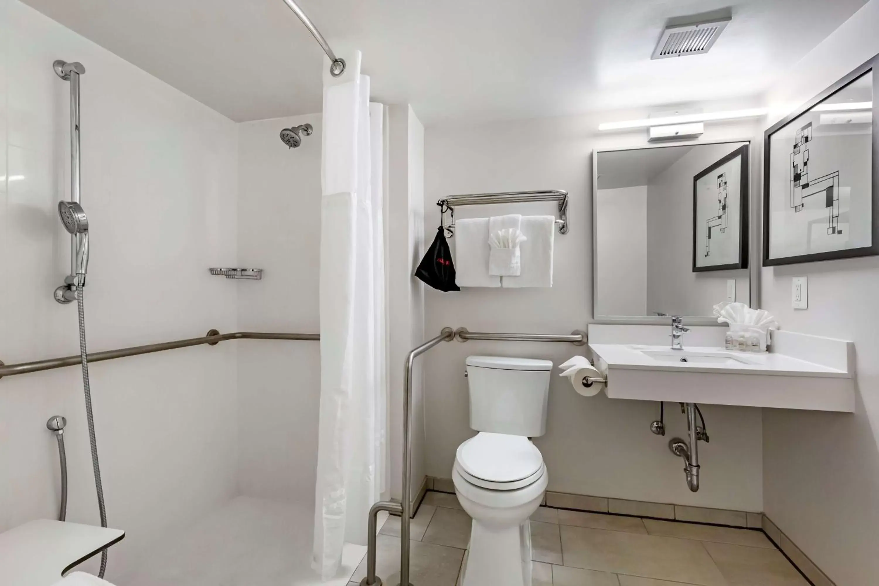 Bathroom in Best Western Premier Rockville Hotel & Suites