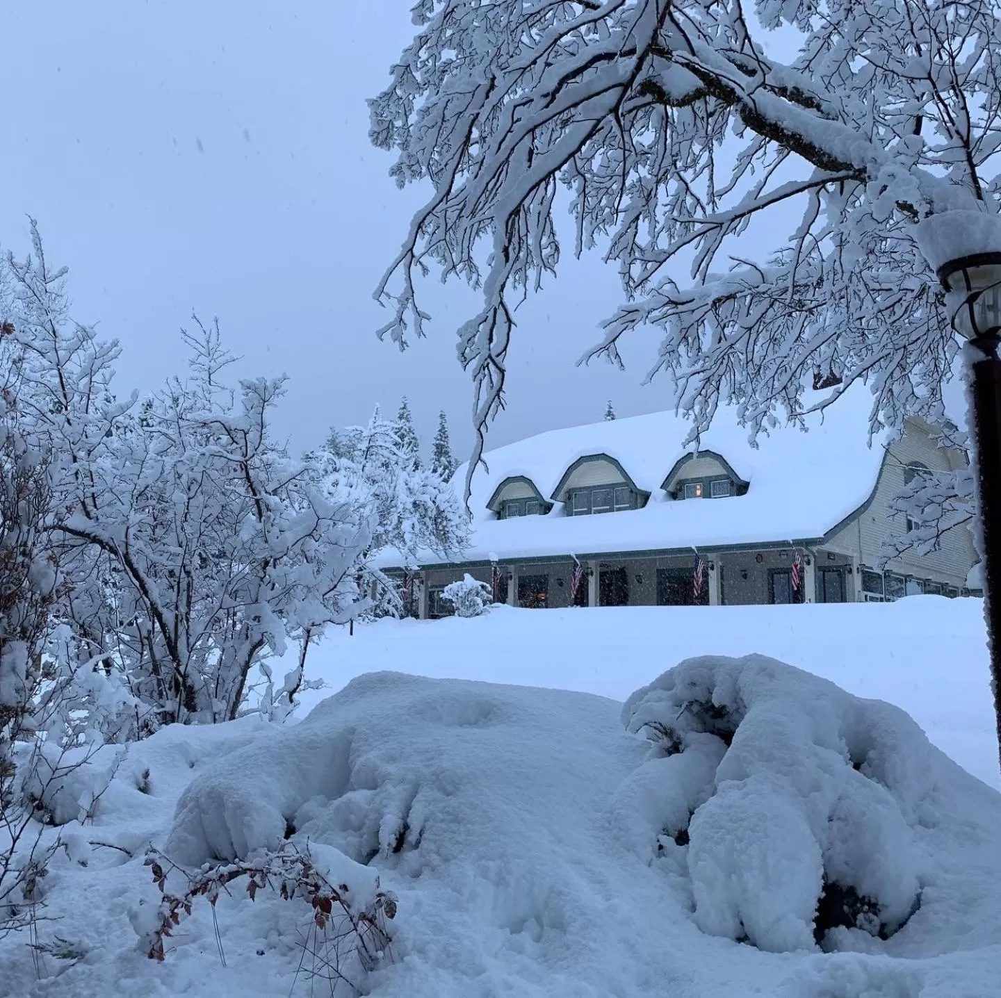 Mount Shasta Ranch Bed and Breakfast