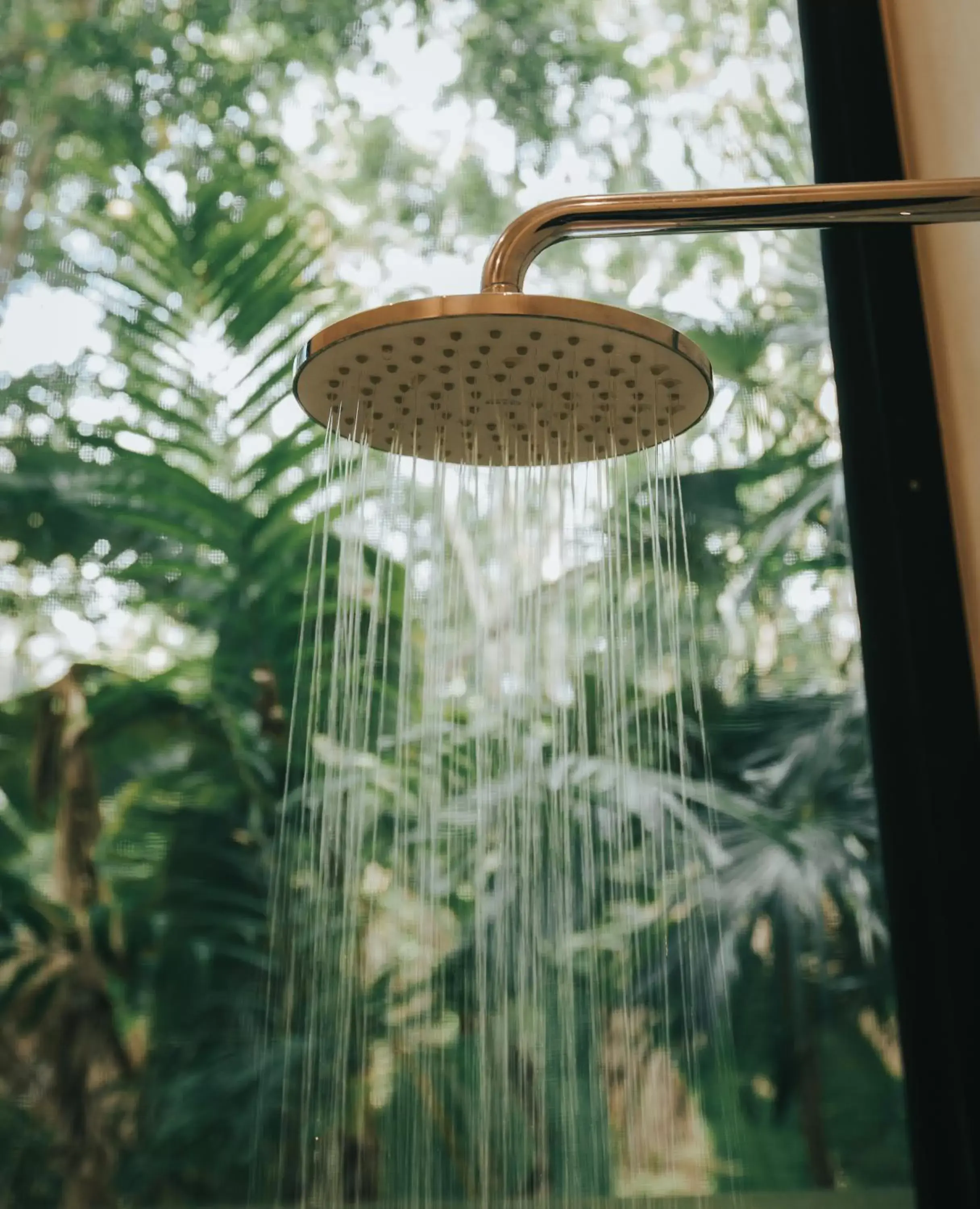 Shower in Ambre & Epices Jungle Hotel & Spa