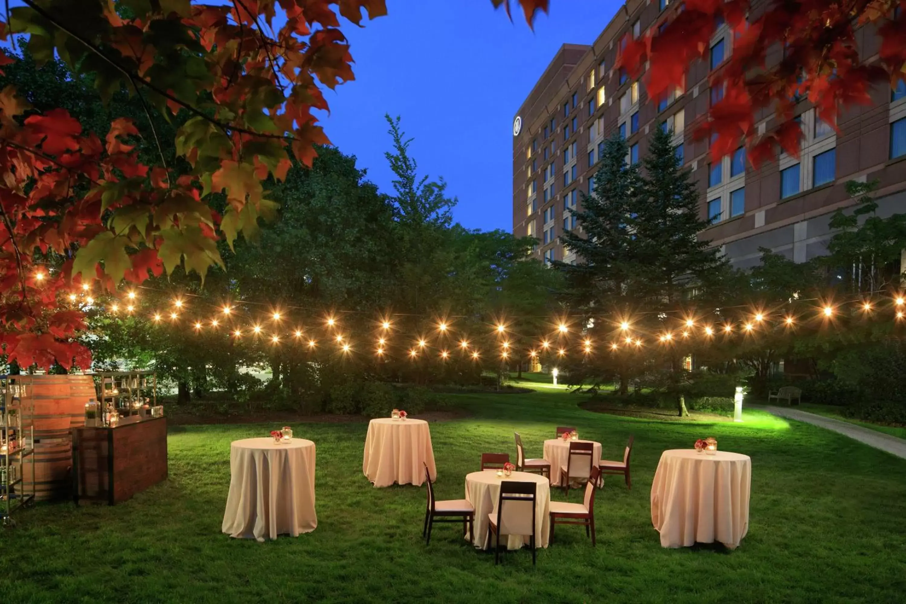 Dining area, Banquet Facilities in Hilton Boston Logan Airport