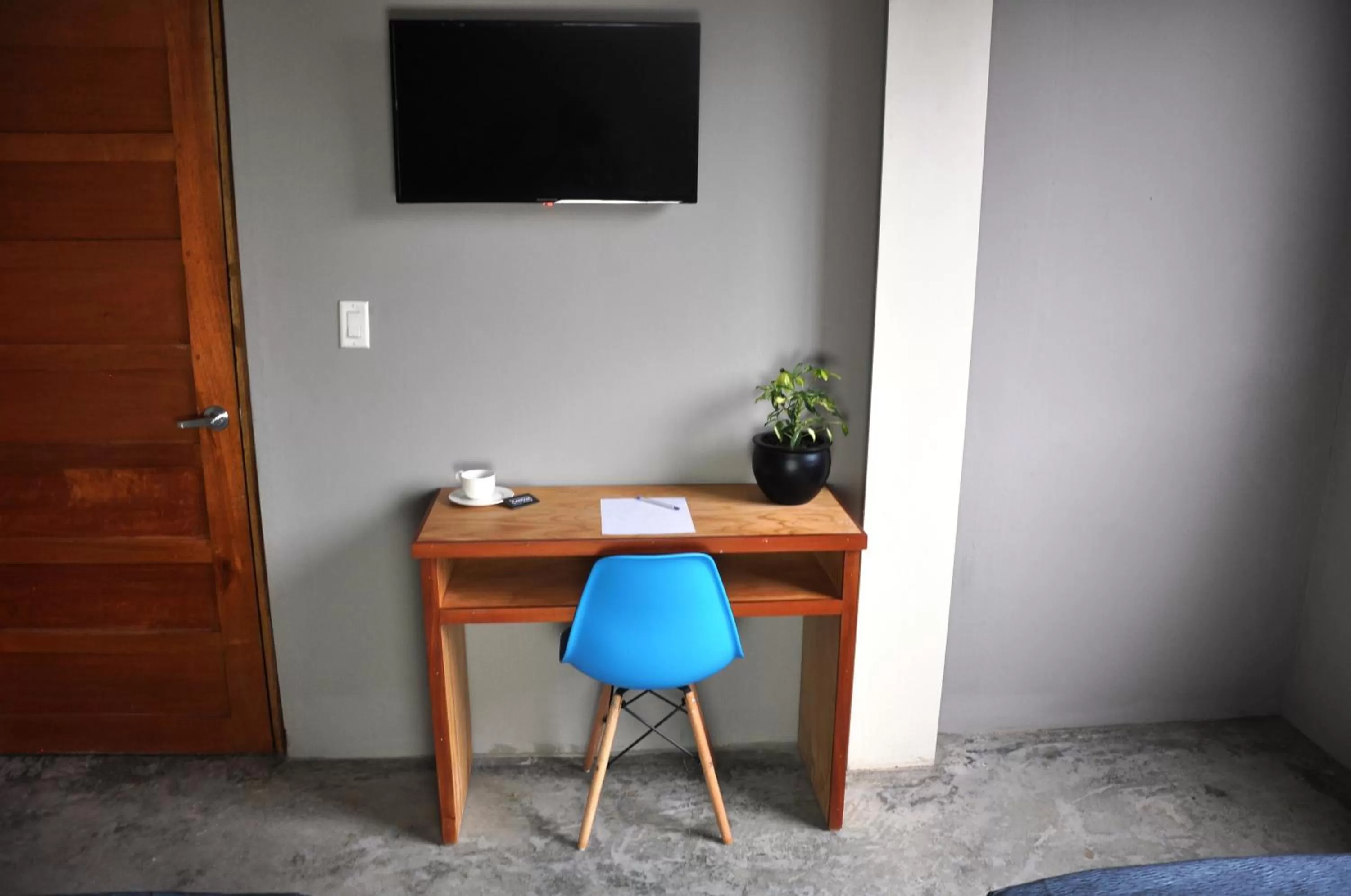 TV and multimedia in Canova