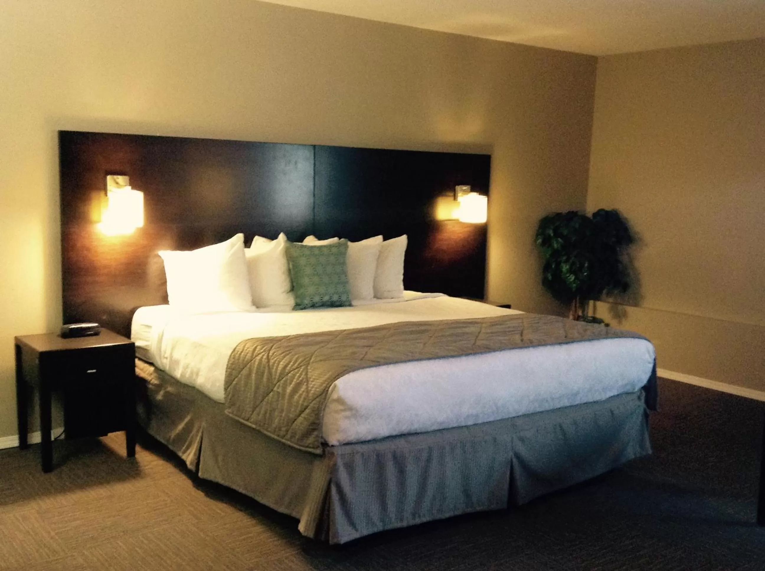 Bed in Super 8 by Wyndham West Kelowna BC