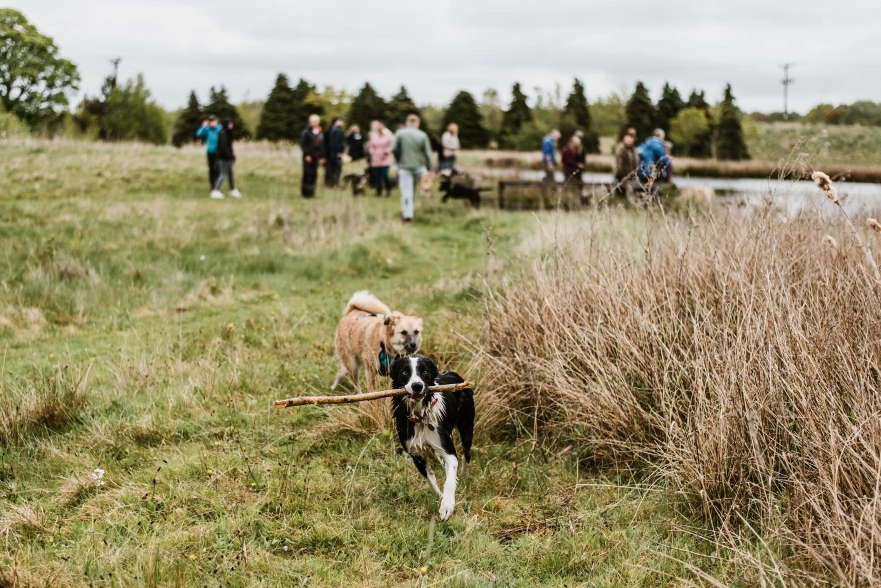 People, Horseback Riding in South Causey Inn