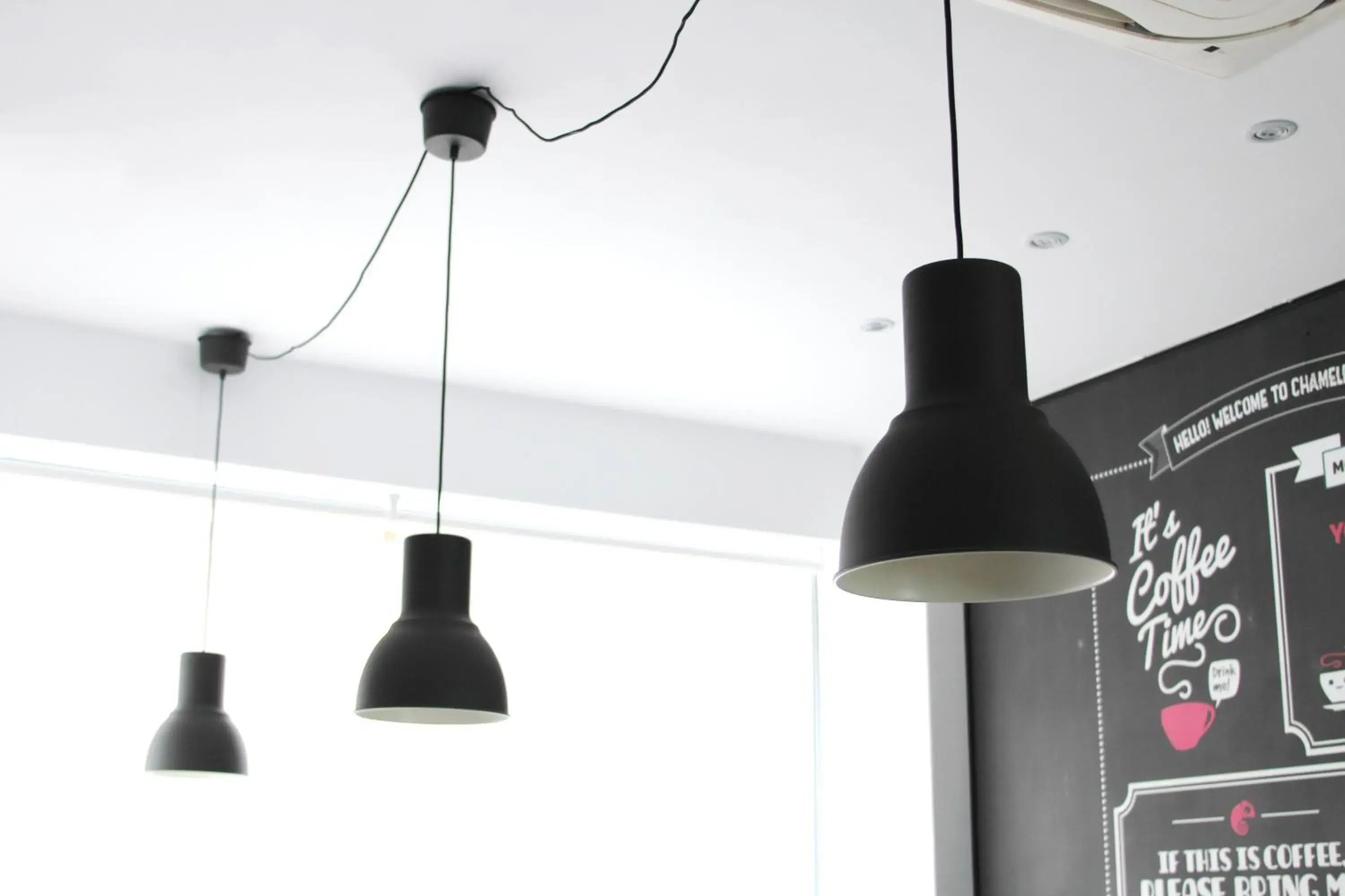 Lounge or bar in Chameleon Youth Hostel Alicante Lounge or bar in Chameleon Youth Hostel Alicante