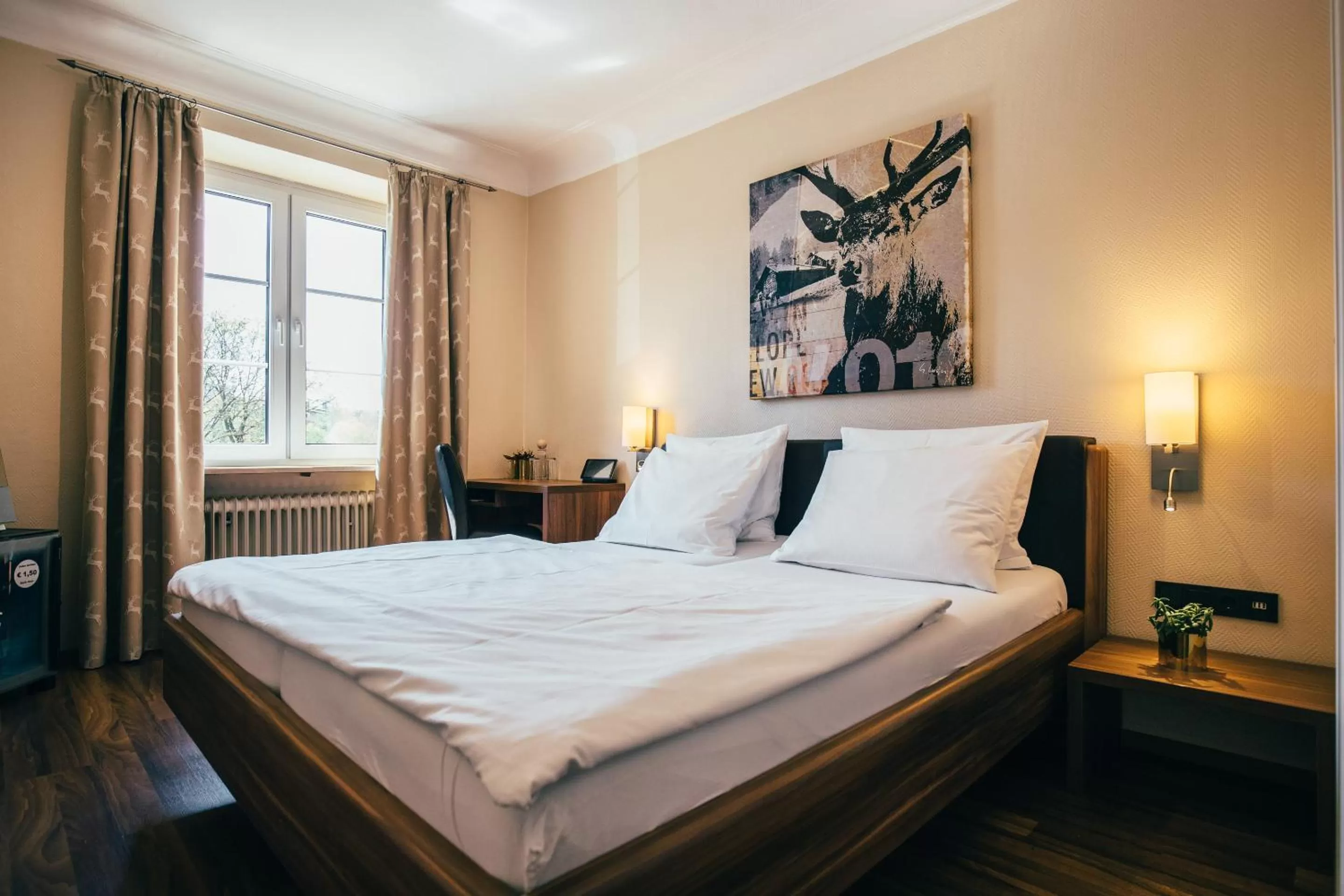 Economy Double Room in Boutique-Hotel Bayerischer Hof