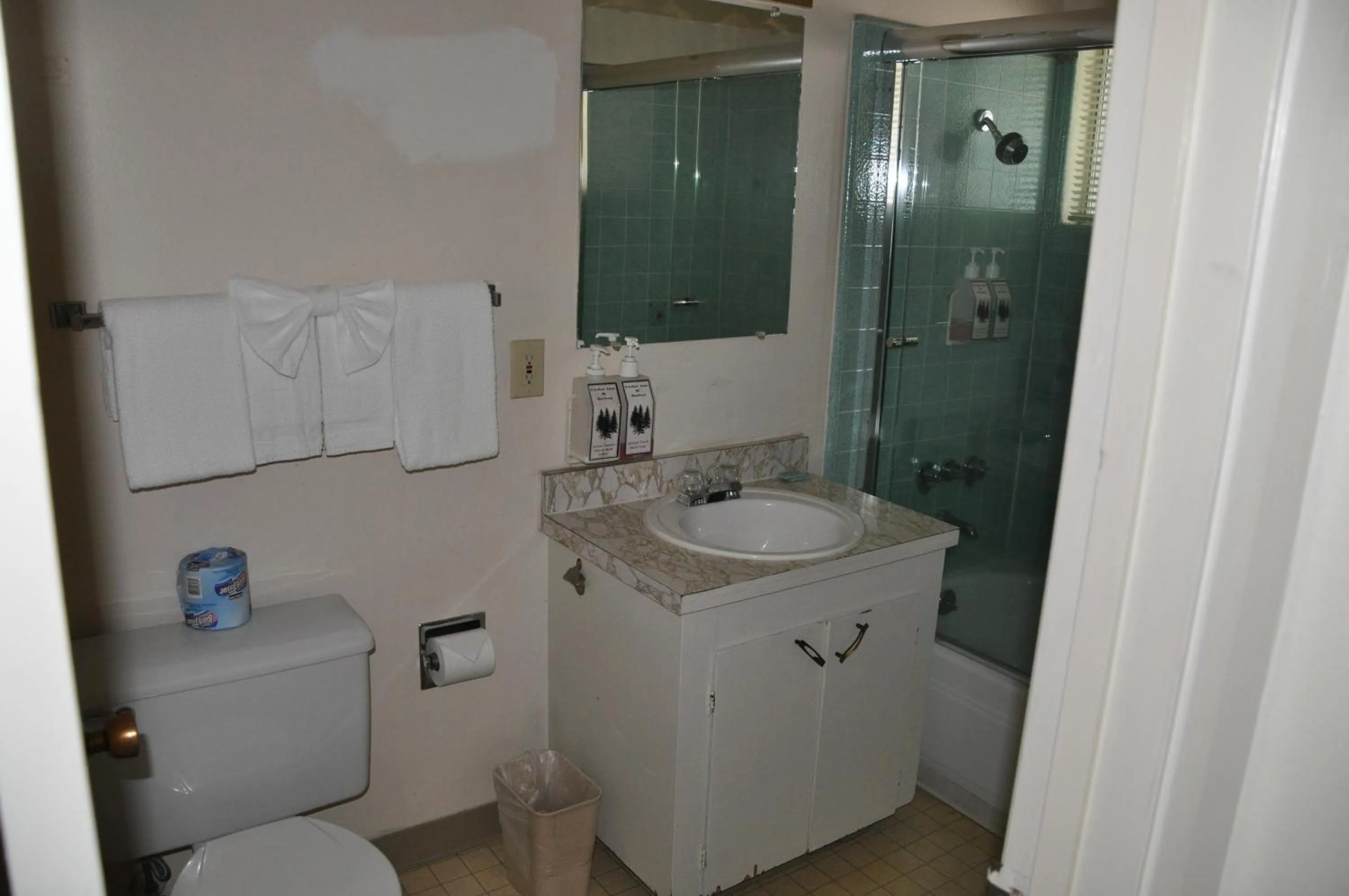 Bathroom in Cedar Inn & Suites