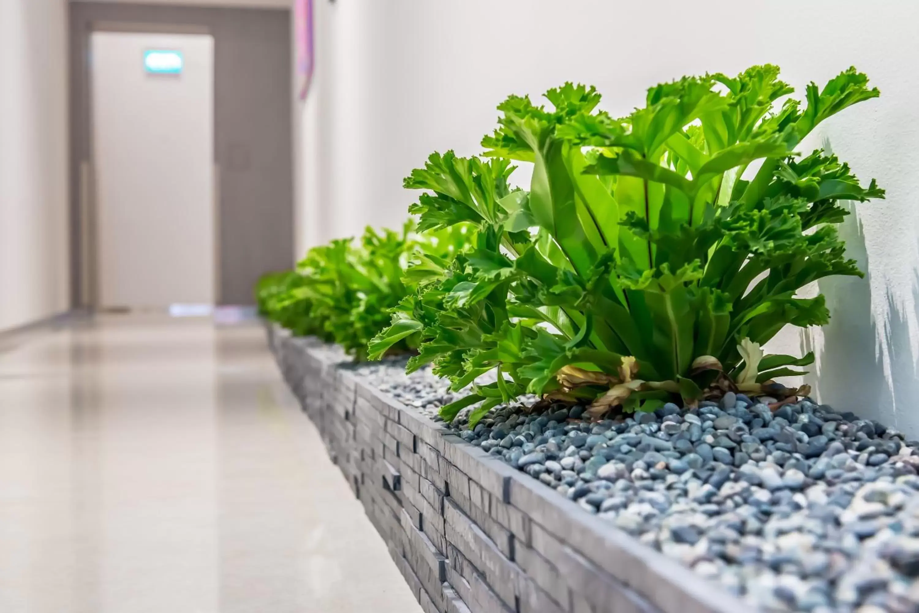 Lobby or reception in Summer View Hotel Lobby or reception in Summer View Hotel