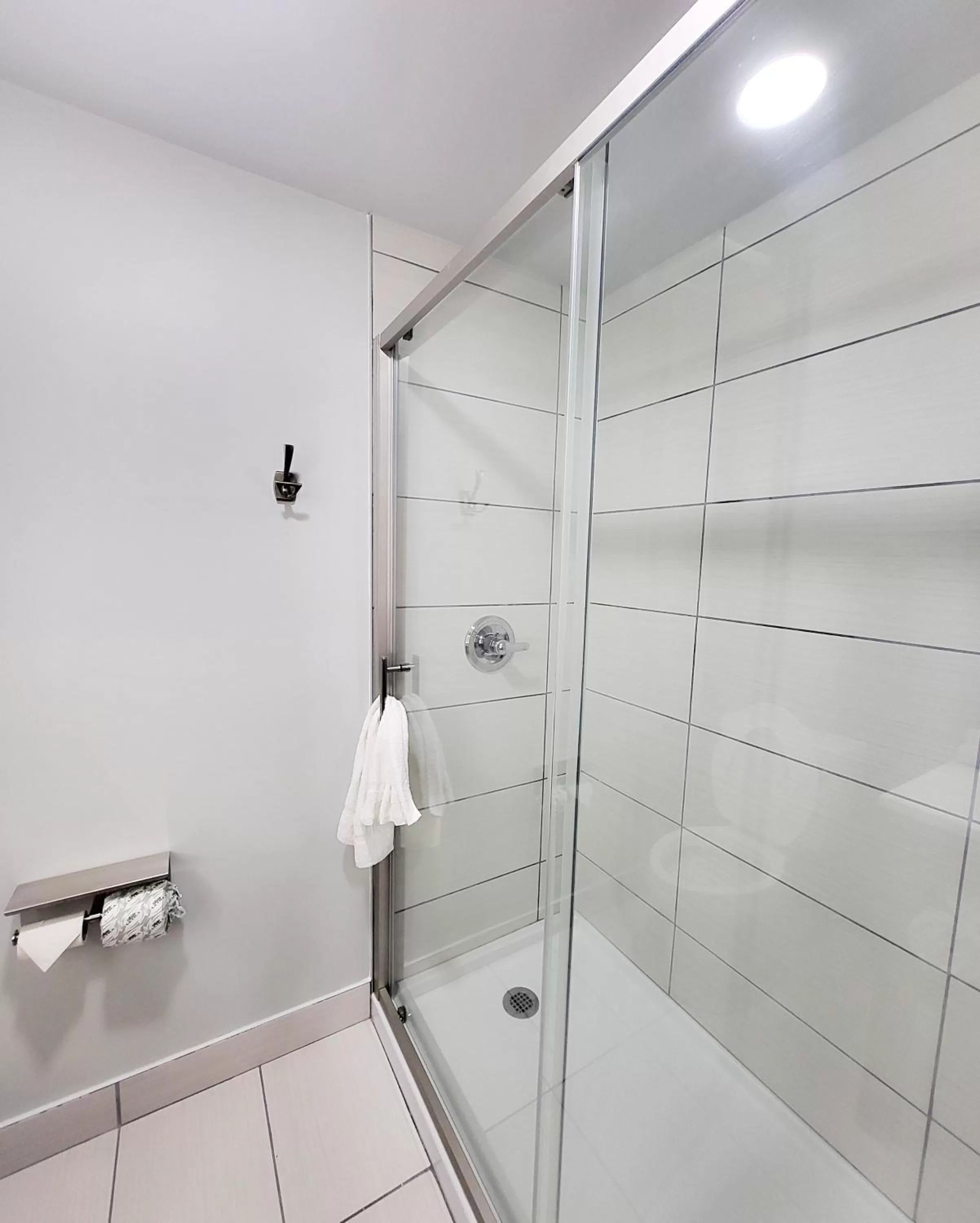 Bathroom in Rodeway Inn Norfolk