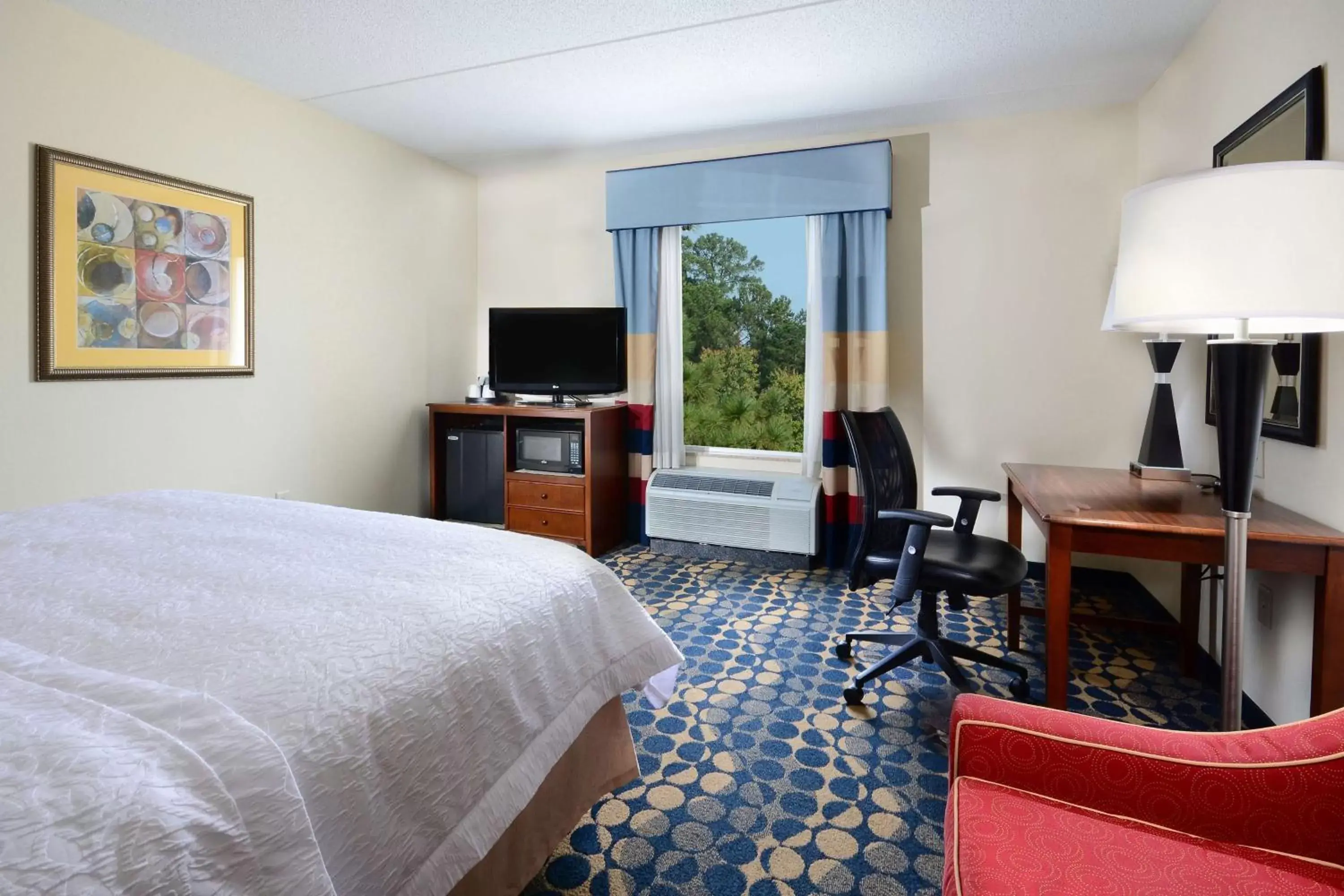 Bed, TV/Entertainment Center in Hampton Inn & Suites Durham North I-85