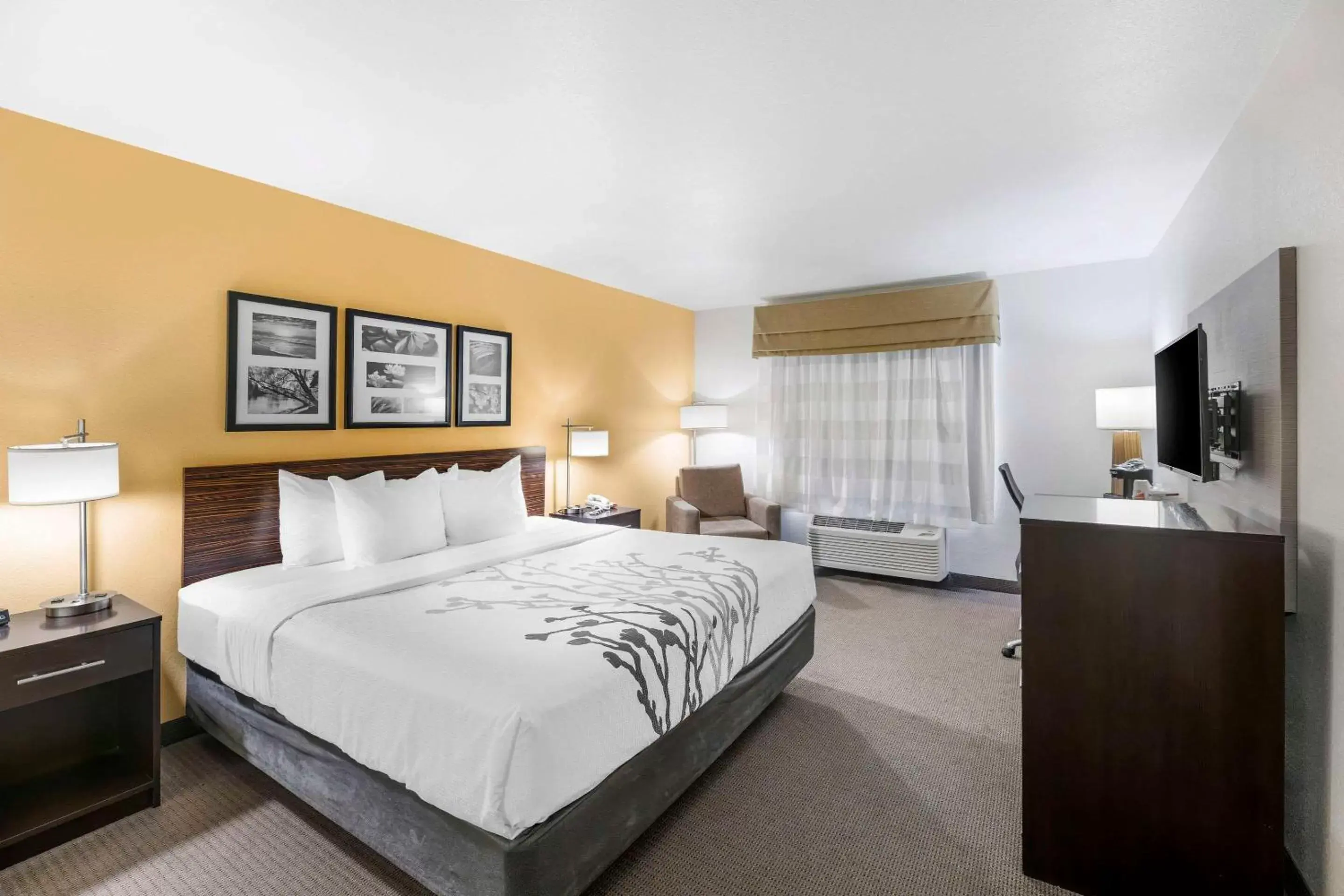 Bedroom, Bed in Sleep Inn & Suites Carlsbad Caverns Area Bedroom, Bed in Sleep Inn & Suites Carlsbad Caverns Area