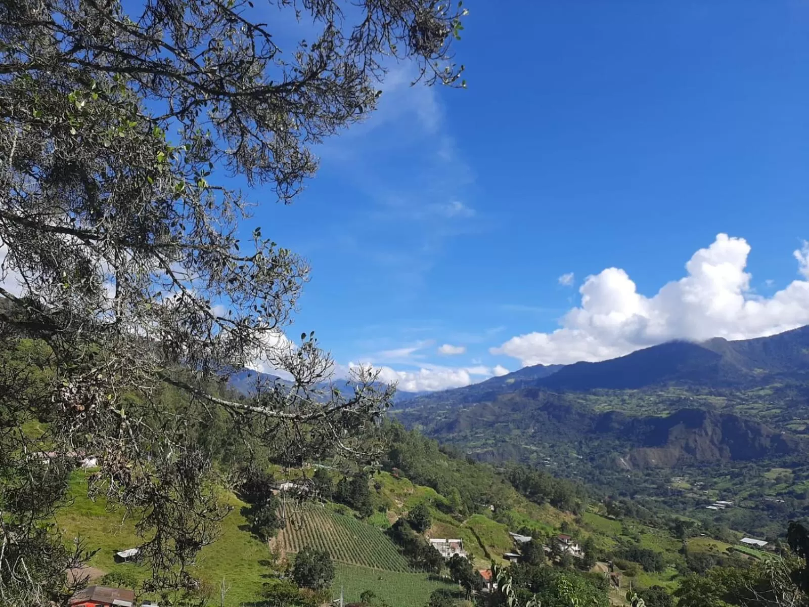 Mountain view in Finca Umnisa - Choachi