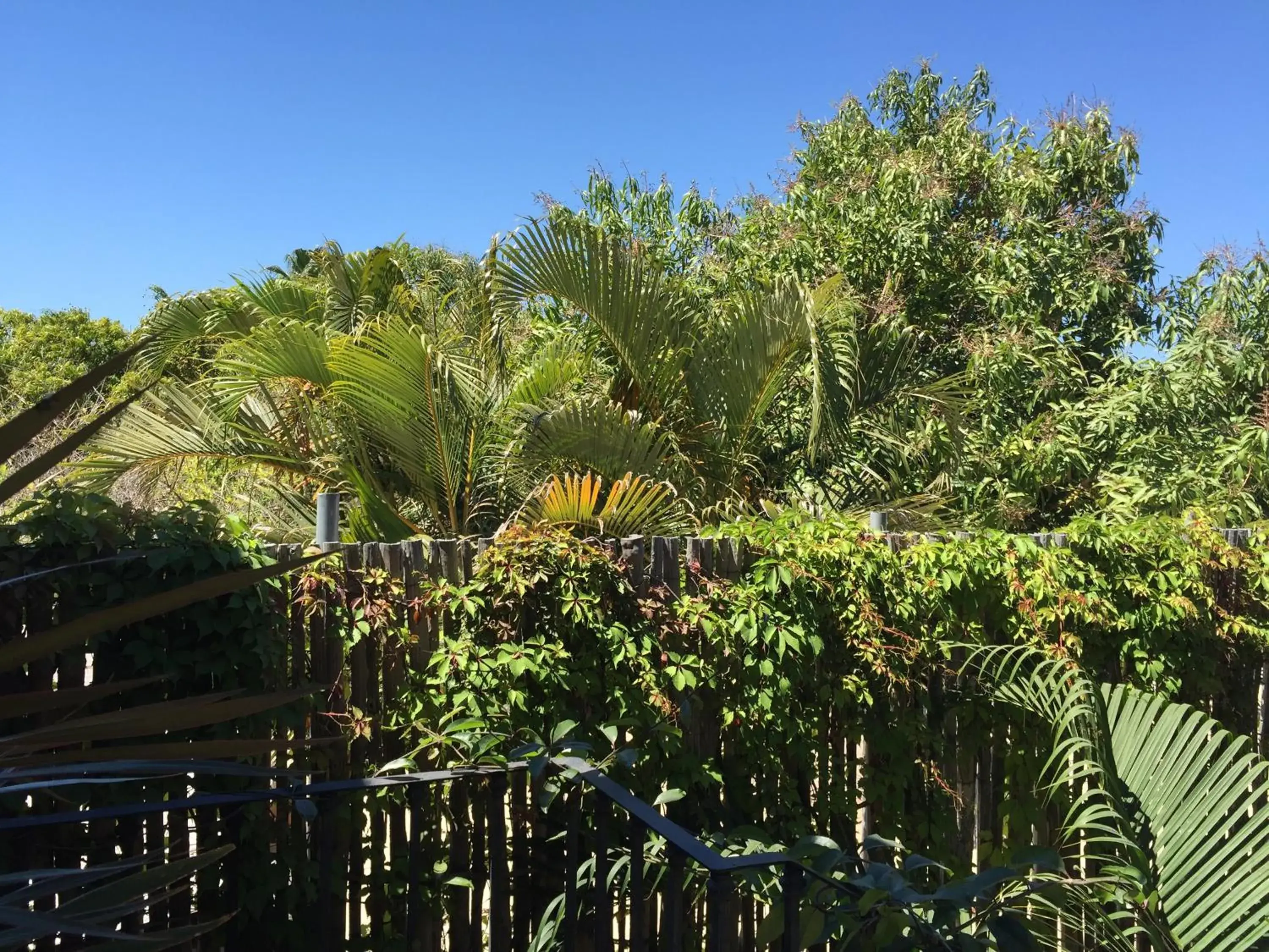 Garden view in Posada del Cortes