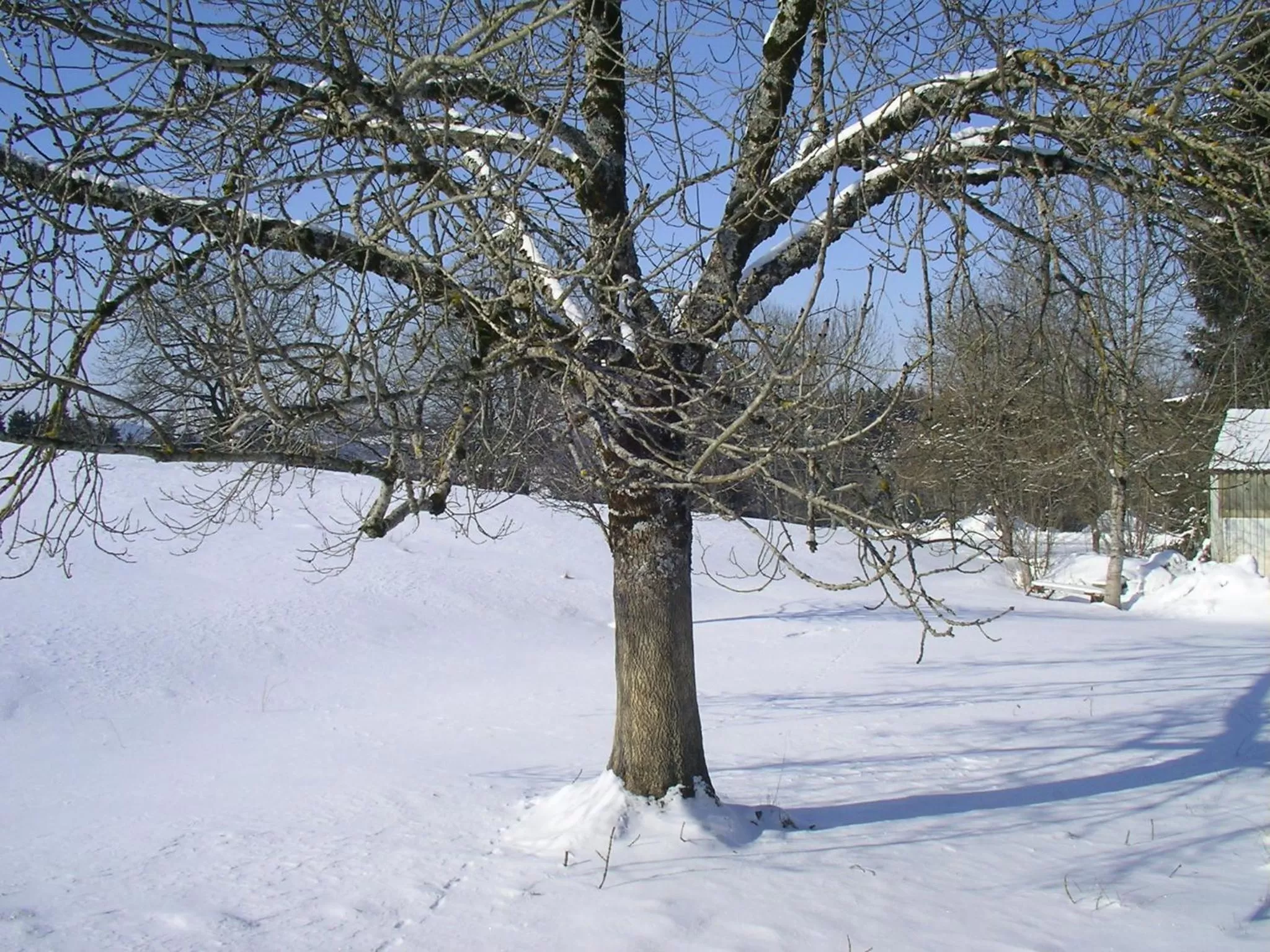 Natural landscape in Das Allgäu