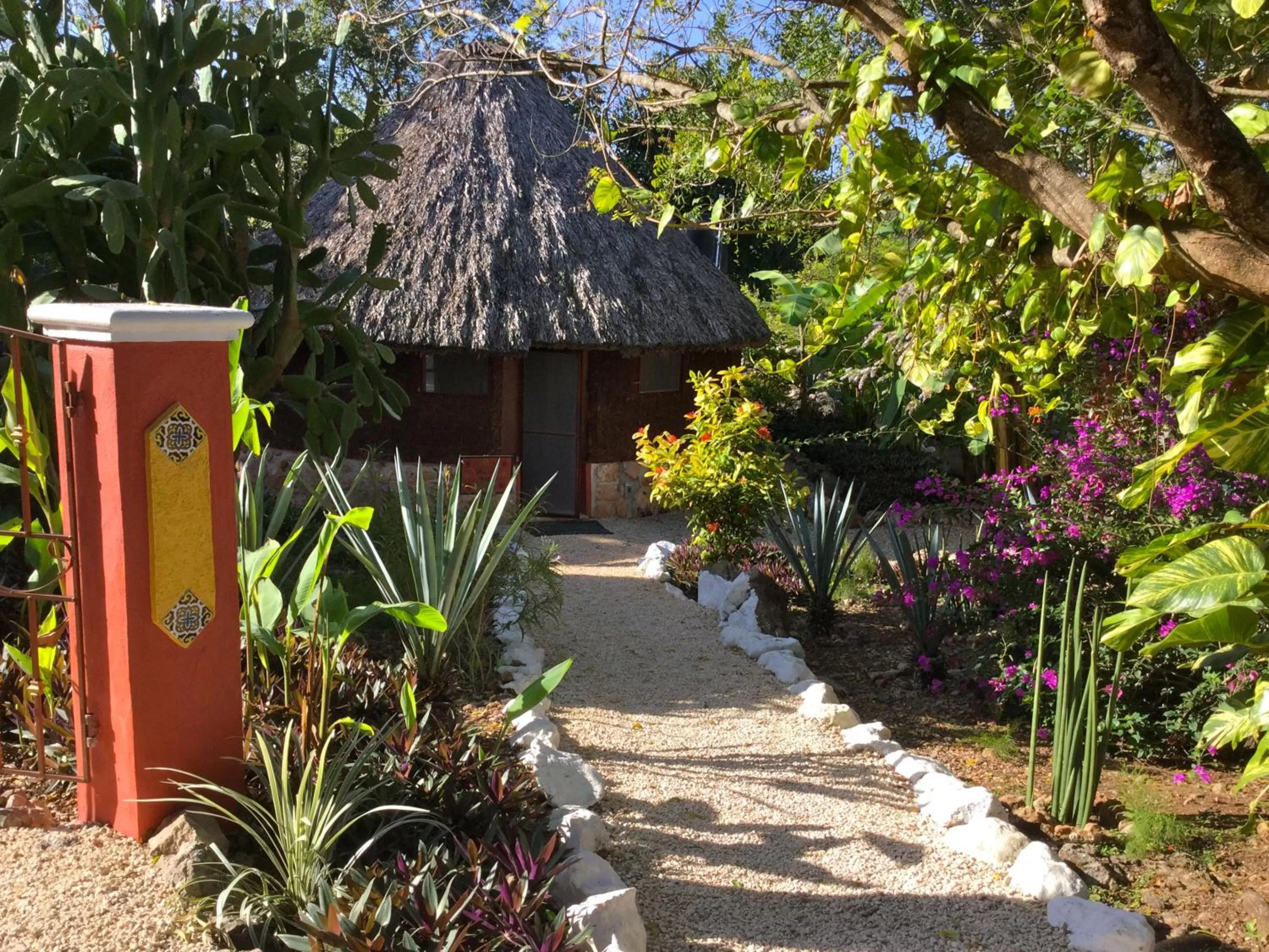 Garden in The Pickled Onion Eco-Boutique B&B