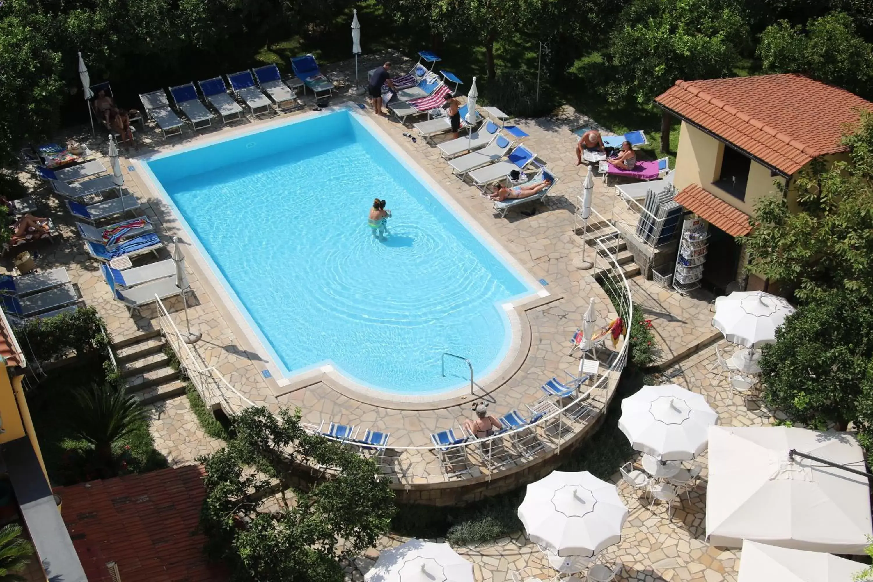 Swimming pool, Pool View in Hotel Tourist